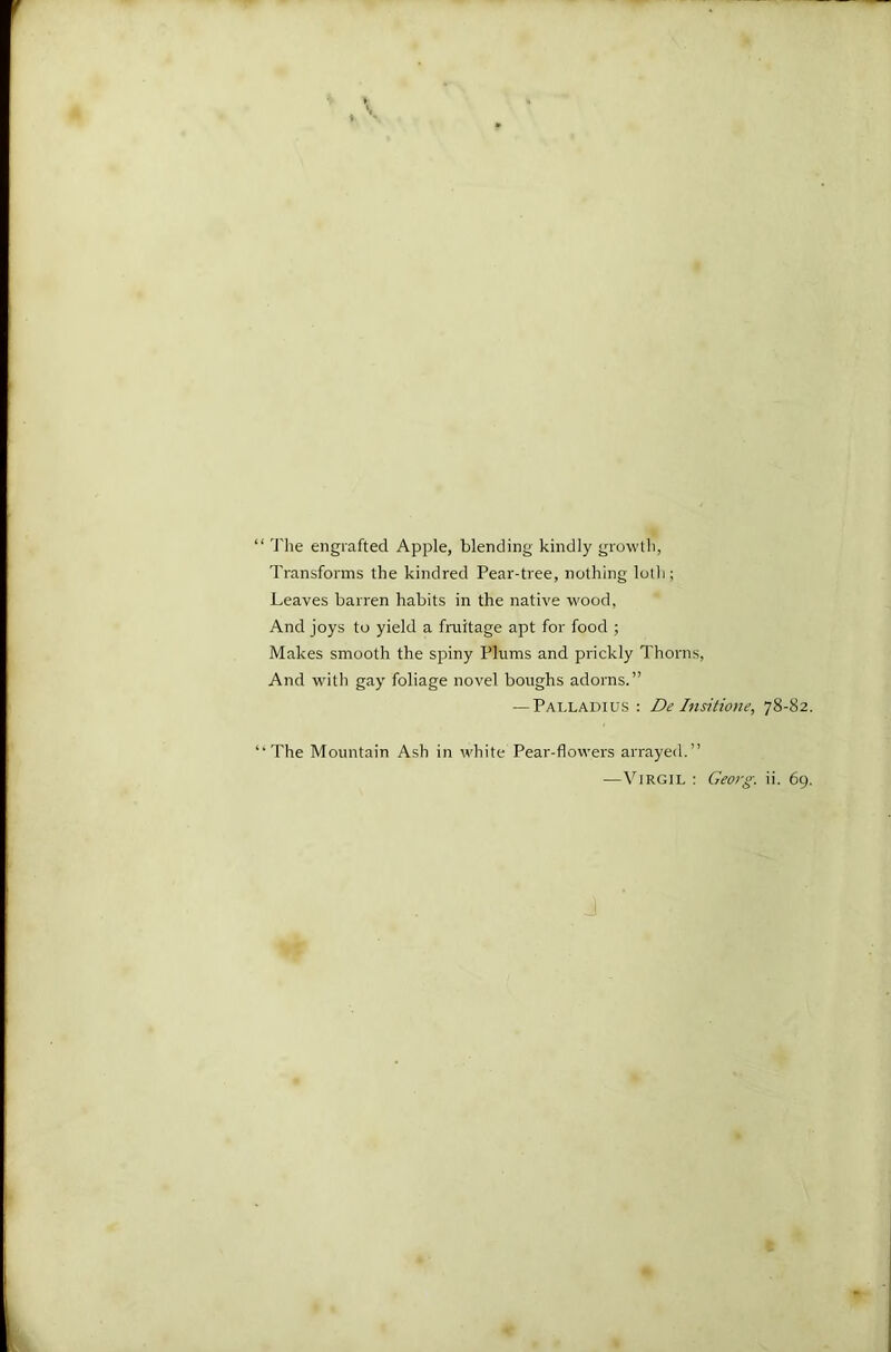‘ The engrafted Apple, blending kindly growth, Transforms the kindred Pear-tree, nothing loth; Leaves barren habits in the native wood, And joys to yield a fraitage apt for food ; Makes smooth the spiny Plums and prickly Thorns, And with gay foliage novel boughs adorns.” — Palladius : De Insitione, 78-82. ‘The Mountain Ash in white Pear-flowers arrayed.”