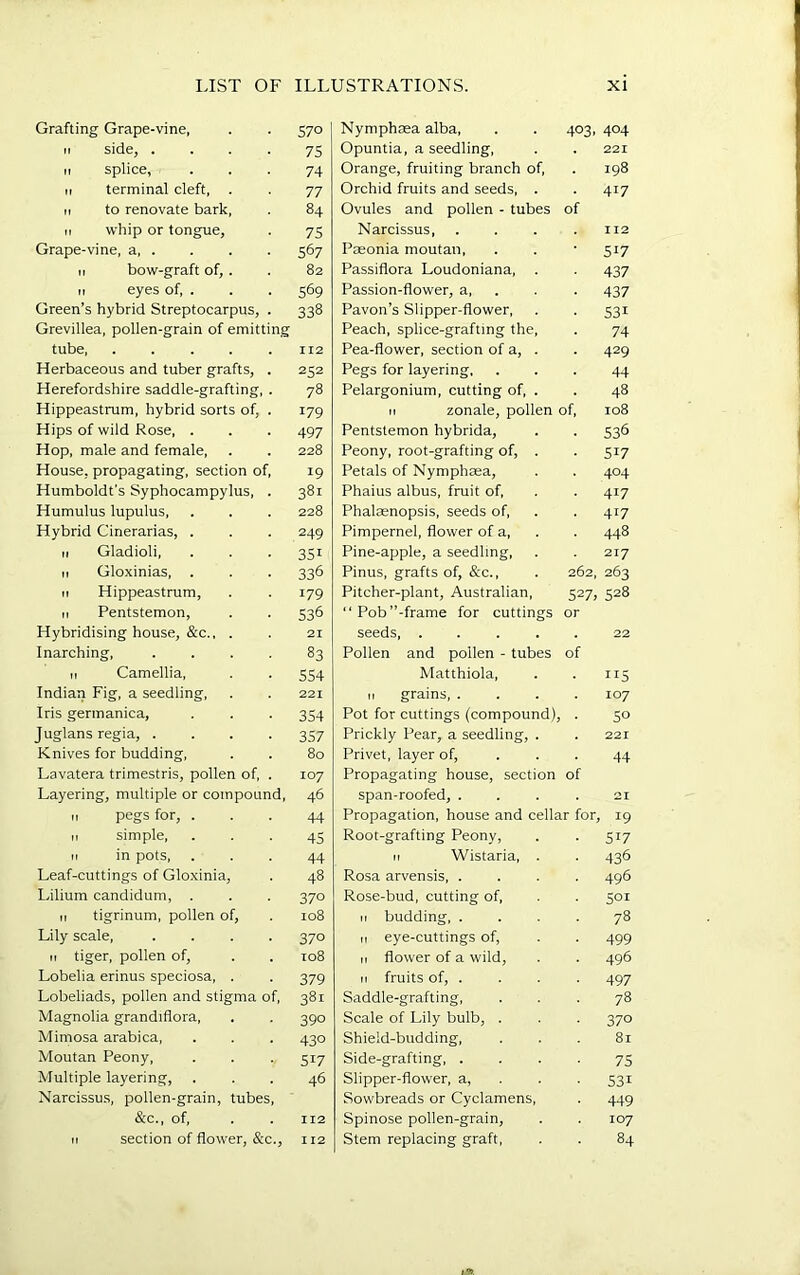 LIST OF ILLUSTRATIONS. XI Grafting Grape-vine, S70 Nymphasa alba. 403. 404 II side, .... 75 Opuntia, a seedling. 221 II splice, 74 Orange, fruiting branch of. 198 II terminal cleft, . 77 Orchid fruits and seeds, . 417 II to renovate bark. 84 Ovules and pollen - tubes of II whip or tongue. 75 Narcissus, II2 Grape-vine, a, . 567 Pasonia moutan. 517 II bow-graft of, . 82 Passiflora Loudoniana, . 437 II eyes of, . 569 Passion-flower, a. 437 Green’s hybrid Streptocarpus, . 338 Pavon’s Slipper-flower, 531 Grevillea, pollen-grain of emitting Peach, splice-grafting the. 74 tube 112 Pea-flower, section of a, . 429 Herbaceous and tuber grafts, . 252 Pegs for layering. 44 Herefordshire saddle-grafting, . 78 Pelargonium, cutting of, . 48 Hippeastrum, hybrid sorts of, . 179 II zonale, pollen of. 108 Hips of wild Rose, . 497 Pentstemon hybrida. 536 Hop, male and female. 228 Peony, root-grafting of, . 517 House, propagating, section of. 19 Petals of Nymphsea, 404 Humboldt's Syphocampylus, . 381 Phaius albus, fruit of. 417 Humulus lupulus. 228 Phalasnopsis, seeds of. 417 Hybrid Cinerarias, . 249 Pimpernel, flower of a. 448 II Gladioli, 351 Pine-apple, a seedling. 217 II Gloxinias, . 336 Pinus, grafts of, &c., 262, 263 II Hippeastrum, 179 Pitcher-plant, Australian, 527? 528 II Pentstemon, 536 “ Pob’’-frame for cuttings or Hybridising house, &c., . 21 seeds, .... 22 Inarching, .... 83 Pollen and pollen - tubes of II Camellia, 554 Matthiola, 115 Indian Fig, a seedling. 221 II grains, . 107 Iris gerinanica. 354 Pot for cuttings (compound). 50 Juglans regia, .... 357 Prickly Pear, a seedling, . 221 Knives for budding. 80 Privet, layer of. 44 Lavatera trimestris, pollen of, . 107 Propagating house, section of Layering, multiple or compound. 46 span-roofed, . 21 II pegs for, . 44 Propagation, house and cellar for 19 II simple. 45 Root-grafting Peony, 517 II in pots. 44 II Wistaria, . 436 Leaf-cuttings of Glo.xinia, 48 Rosa arvensis, . 496 Lilium candidum, 370 Rose-bud, cutting of. 501 II tigrinum, pollen of. 108 II budding, . 78 Lily scale, .... 370 II eye-cuttings of, 499 II tiger, pollen of. 108 II flower of a wild. 496 Lobelia erinus speciosa, . 379 II fruits of, . 497 Lobeliads, pollen and stigma of. 381 Saddle-grafting, 78 Magnolia grandiflora. 390 Scale of Lily bulb, . 37° Mimosa arabica. 430 Shield-budding, 81 Moutan Peony, 517 Side-grafting, . 75 Multiple layering. 46 Slipper-flower, a, 531 Narcissus, pollen-grain, tubes. Sowbreads or Cyclamens, 449 &c., of, 112 Spinose pollen-grain. 107