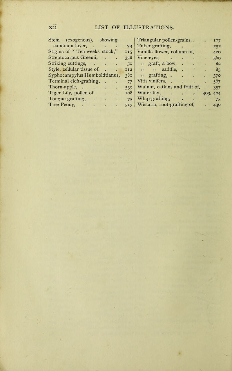 Stem (exogenous), showing cambium layer, Stigma of “ Ten weeks' stock,” Streptocarpus Greenii, Striking cuttings, Style, cellular tissue of, . Syphocampylus Humboldtianus, Terminal cleft-grafting, . Thorn-apple, .... Tiger Lily, pollen of. Tongue-grafting, Tree Peony, .... Triangular pollen-grains, . 107 Tuber grafting, 252 Vanilla flower, column of, 420 Vine-eyes, • 569 n graft, a bow, . . 82 II II saddle, . • 83 II grafting, . ■ 57° Vitis vinifera, . • 567 Walnut, catkins and fruit of. • 357 Water-lily, 403, 404 Whip-grafting, 75 Wistaria, root-grafting of. • 436 73 IIS 338 50 II2 381 77 539 108 75 517