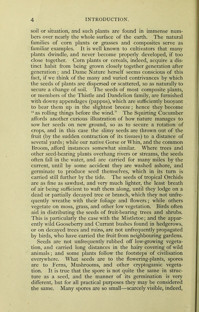 soil or situation, and such plants are found in immense num- bers over nearly the whole surface of the earth. The natural families of corn plants or grasses and composites serve as familiar examples. It is well known to cultivators that many plants dwindle, and never become properly developed, if too close together. Corn plants or cereals, indeed, acquire a dis- tinct habit from being grown closely together generation after generation; and Dame Nature herself seems conscious of this fact, if we think of the many and varied contrivances by which the seeds of plants are dispersed or scattered, so as naturally to secure a change of soil. The seeds of most composite plants, or members of the Thistle and Dandelion family, are furnished with downy appendages (pappus), which are sufficiently buoyant to bear them up in the slightest breeze; hence they become “ as rolling things before the wind.” The Squirting Cucumber affords another curious illustration of how nature manages to sow her seeds on new ground, so as to secure a rotation of crops, and in this case the slimy seeds are thrown out of the fruit (by the sudden contraction of its tissues) to a distance of several yards; while our native Gorse or Whin, and the common Broom, afford instances somewhat similar. Where trees and other seed-bearing plants overhang rivers or streams, the seeds often fall in the water, and are carried for many miles by the current, until by some accident they are washed ashore, and germinate to produce seed themselves, which in its turn is carried still further by the tide. The seeds of tropical Orchids are as fine as sawdust, and very much lighter, the least breath of air being sufficient to waft them along, until they lodge on a dead or partially decayed tree or branch, which they not unfre- quently weathe with their foliage and flowers; while others vegetate on moss, grass, and other low vegetation. Birds often aid in distributing the seeds of fruit-bearing trees and shrubs. This is particularly the case with the Mistletoe; and the appar- ently wild Gooseberry and Currant bushes found in hedgerows, or on decayed trees and ruins, are not unfrequently propagated by birds, who have carried the fruit from neighbouring gardens. Seeds are not unfrequently rubbed off low-growing vegeta- tion, and carried long distances in the hairy covering of wild animals; and some plants follow the footsteps of civilisation everywhere. What seeds are to the flowering-plants, spores are to Ferns, Mushrooms, and other cryptogamic vegeta- tion. It is true that the spore is not quite the same in struc- ture as a seed, and the manner of its germination is very different, but for all practical purposes they may be considered the same. Many spores are so small—scarcely visible, indeed.