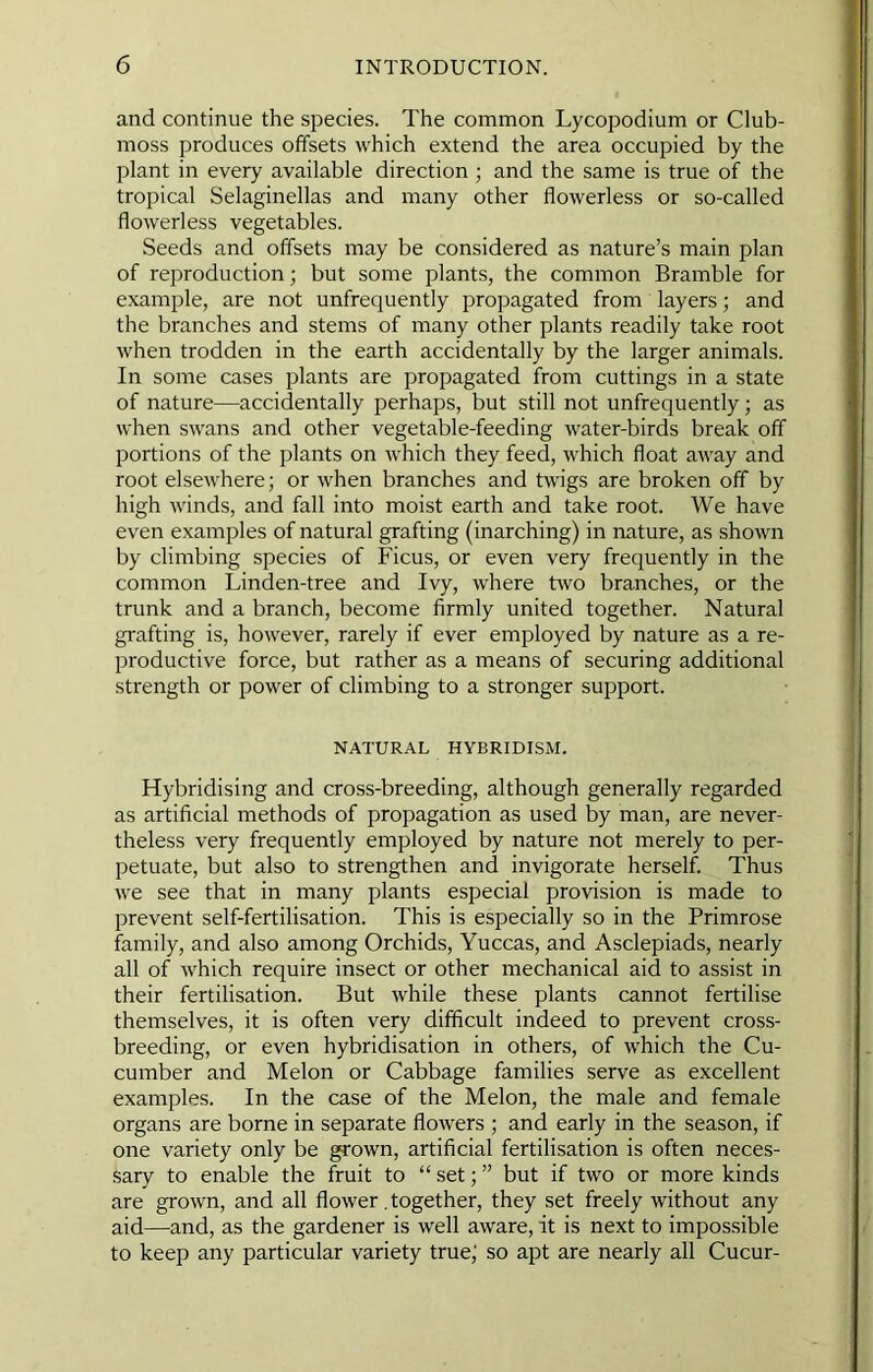 and continue the species. The common Lycopodium or Club- moss produces offsets which extend the area occupied by the plant in every available direction ; and the same is true of the tropical Selaginellas and many other flowerless or so-called flowerless vegetables. Seeds and offsets may be considered as nature’s main plan of reproduction; but some plants, the common Bramble for example, are not unfrequently propagated from layers; and the branches and stems of many other plants readily take root when trodden in the earth accidentally by the larger animals. In some cases plants are propagated from cuttings in a state of nature—accidentally perhaps, but still not unfrequently; as when swans and other vegetable-feeding water-birds break off portions of the plants on which they feed, which float away and root elsewhere; or when branches and twigs are broken off by high winds, and fall into moist earth and take root. We have even examples of natural grafting (inarching) in nature, as shown by climbing species of Ficus, or even very frequently in the common Linden-tree and Ivy, where two branches, or the trunk and a branch, become firmly united together. Natural grafting is, however, rarely if ever employed by nature as a re- productive force, but rather as a means of securing additional strength or power of climbing to a stronger support. NATURAL HYBRIDISM. Hybridising and cross-breeding, although generally regarded as artificial methods of propagation as used by man, are never- theless very frequently employed by nature not merely to per- petuate, but also to strengthen and invigorate herself. Thus we see that in many plants especial provision is made to prevent self-fertilisation. This is especially so in the Primrose family, and also among Orchids, Yuccas, and Asclepiads, nearly all of which require insect or other mechanical aid to assist in their fertilisation. But while these plants cannot fertilise themselves, it is often very difficult indeed to prevent cross- breeding, or even hybridisation in others, of which the Cu- cumber and Melon or Cabbage families serve as excellent examples. In the case of the Melon, the male and female organs are borne in separate flowers ; and early in the season, if one variety only be ^own, artificial fertilisation is often neces- sary to enable the fruit to “ set; ” but if two or more kinds are grown, and all flower. together, they set freely without any aid—and, as the gardener is well aware, it is next to impossible to keep any particular variety true; so apt are nearly all Cucur-