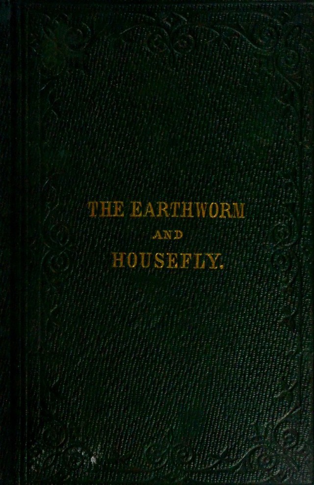 digitised image 1
