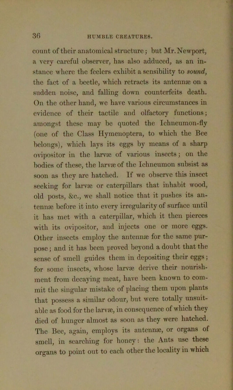 count of tlicir anatomical structure; but Mr.Newport, a very careful observer, has also adduced, as an in- stance where the feelers exhibit a sensibility to sound, the fact of a beetle, which retracts its antennae on a sudden noise, and falling down counterfeits death. On the other hand, wre have various circumstances in evidence of their tactile and olfactory functions; amongst these may be quoted the Ichneumon-fly (one of the Class Hymenoptera, to which the Bee belongs), which lays its eggs by means of a sharp ovipositor in the larvae of various insects; on the bodies of these, the larvae of the Ichneumon subsist as soon as they are hatched. If we observe this insect seeking for larvae or caterpillars that inhabit wood, old posts, &c., we shall notice that it pushes its an- tennae before it into every irregularity of surface until it has met with a caterpillar, which it then pierces with its ovipositor, and injects one or more eggs. Other insects employ the antennae for the same pur- pose ; and it has been proved beyond a doubt that the sense of smell guides them in depositing their eggs; for some insects, whose larvae derive their nourish- ment from decaying meat, have been known to com- mit the singular mistake of placing them upon plants that possess a similar odour, but were totally unsuit- able as food for the larvae, in consequence of which they died of hunger almost as soon as they were hatched. The Bee, again, employs its antennae, or organs of smell, in searching for honey: the Ants use these organs to point out to each other the locality in which