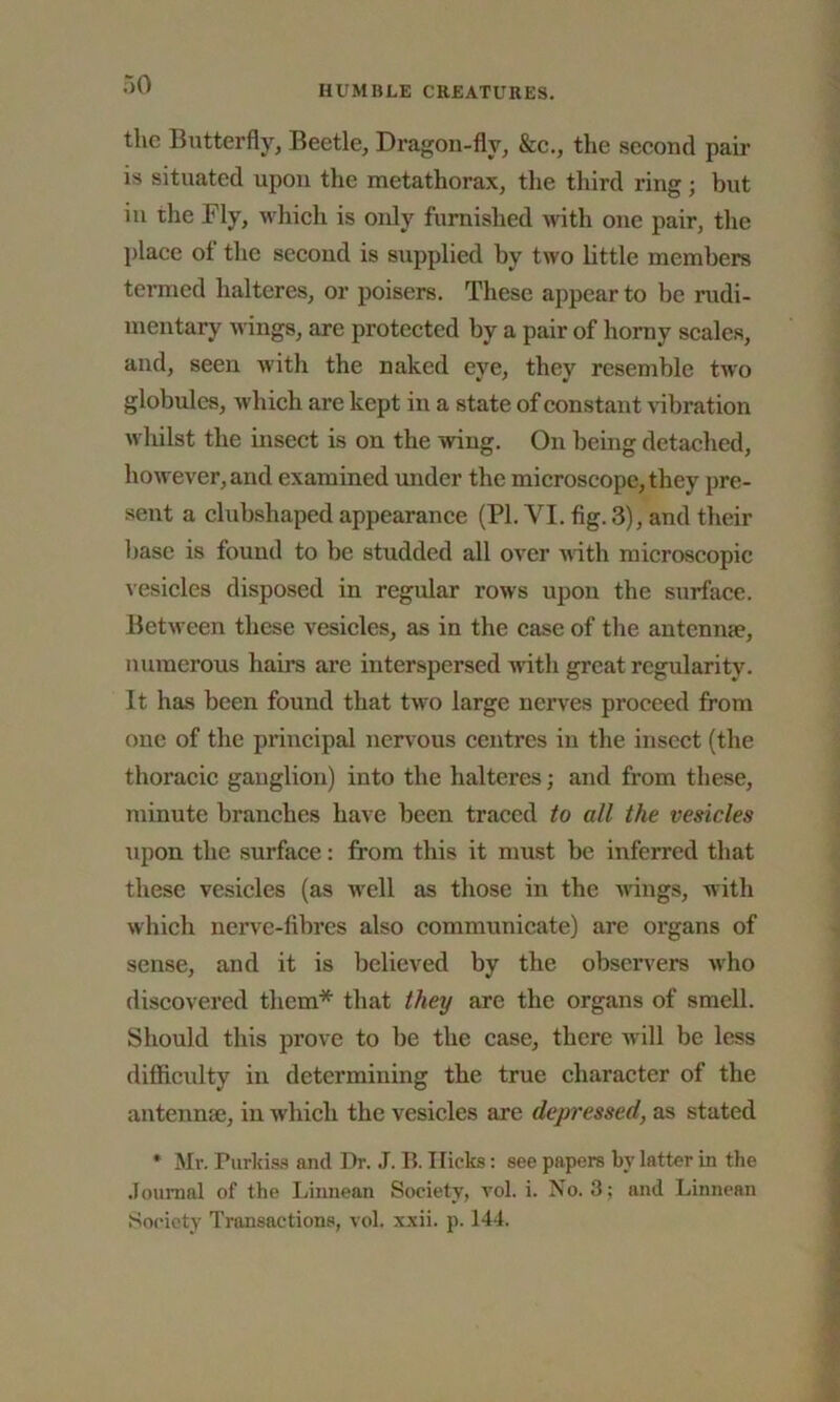 the Butterfly, Beetle, Dragon-fly, &c., the second pair is situated upon the metathorax, the third ring ; but in the Fly, which is only furnished with one pair, the place of the second is supplied by two little members termed halteres, or poisers. These appear to be rudi- mentary wings, are protected by a pair of horny scales, and, seen with the naked eye, they resemble two globules, which are kept in a state of constant vibration whilst the insect is on the wing. On being detached, however, and examined under the microscope, they pre- sent a clubshaped appearance (PI. VI. fig. 3), and their base is found to be studded all over with microscopic vesicles disposed in regular rows upon the surface. Between these vesicles, as in the case of the antennae, numerous hairs are interspersed with great regularity. It has been found that two large nerves proceed from one of the principal nervous centres in the insect (the thoracic ganglion) into the halteres; and from these, minute branches have been traced to all the vesicles upon the surface: from this it must be inferred that these vesicles (as well as those in the wings, with which nerve-fibres also communicate) are organs of sense, and it is believed by the observers who discovered them* that they are the organs of smell. Should this prove to be the case, there will be less difficulty in determining the true character of the antenna;, in which the vesicles are depressed, as stated * Mr. Purkiss and Dr. J. B. Hicks: see papers by latter in the Journal of the Liunean Society, vol. i. No. 3; and Linncan Society Transactions, vol. xxii. p. 144.