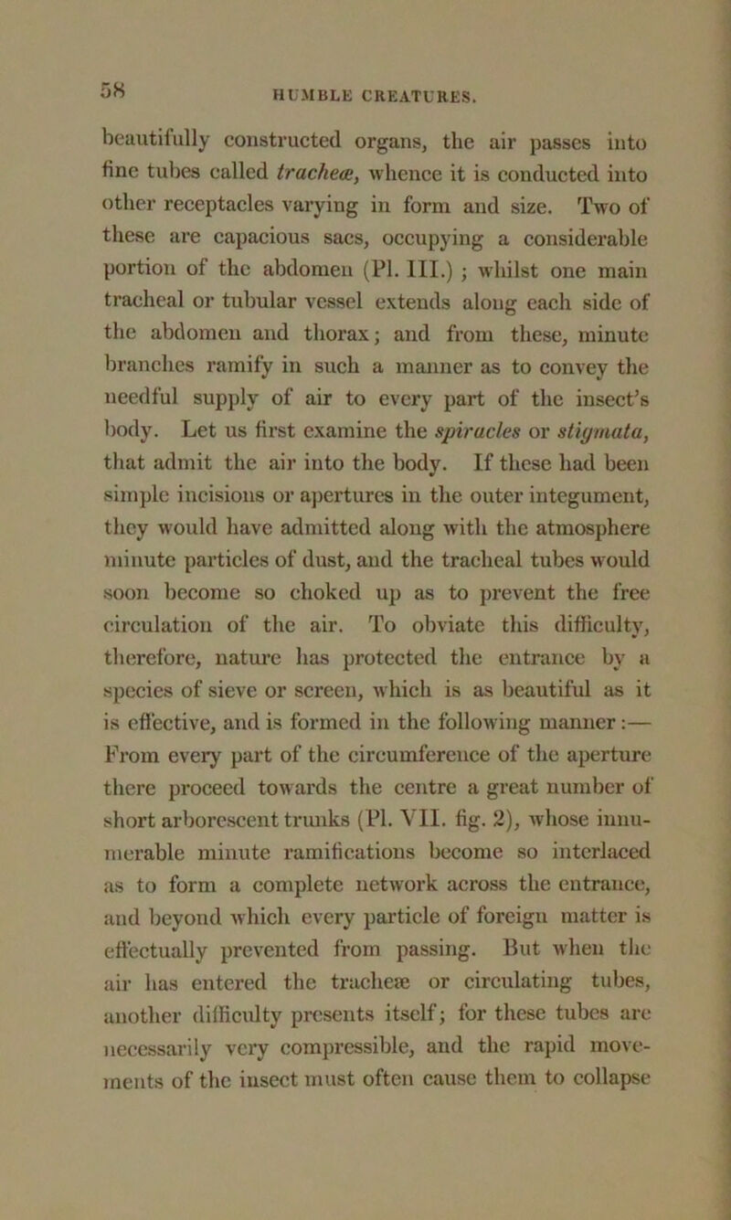 beautifully constructed organs, the air passes into tine tubes called tracheae, whence it is conducted into other receptacles varying in form and size. Two of these are capacious sacs, occupying a considerable portion of the abdomen (PL III.) ; whilst one main tracheal or tubular vessel extends along each side of the abdomen and thorax; and from these, minute branches ramify in such a manner as to convey the needful supply of air to every part of the insect’s body. Let us first examine the spiracles or stigmata, that admit the air into the body. If these had been simple incisions or apertures in the outer integument, they would have admitted along with the atmosphere minute particles of dust, and the tracheal tubes would soon become so choked up as to prevent the free circulation of the air. To obviate this difficulty, therefore, nature has protected the entrance by a species of sieve or screen, which is as beautiful as it is effective, and is formed in the following manner:— From every part of the circumference of the aperture there proceed towards the centre a great number of short arborescent trunks (PI. VII. fig. 2), whose innu- merable minute ramifications become so interlaced as to form a complete network across the entrance, and beyond which every particle of foreign matter is effectually prevented from passing. But when the air has entered the tracheie or circulating tubes, another difficulty presents itself; for these tubes arc necessarily very compressible, and the rapid move- ments of the insect must often cause them to collapse