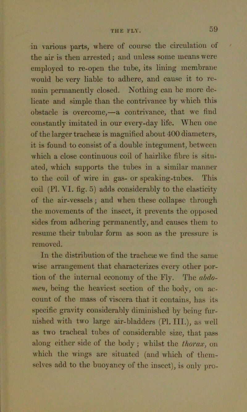 in various parts, where of course the circulation of the air is then arrested; and unless some means were employed to re-open the tube, its lining membrane would be very liable to adhere, and cause it to re- main permanently closed. Nothing can be more de- licate and simple than the contrivance by which this obstacle is overcome,—a contrivance, that we find constantly imitated in our every-day life. When one of the larger tracheae is magnified about 400 diameters, it is found to consist of a double integument, between which a close continuous coil of hairlike fibre is situ- ated, which supports the tubes in a similar manner to the coil of wire in gas- or speaking-tubes. This coil (PI. YI. fig. 5) adds considerably to the elasticity of the air-vessels; and when these collapse through the movements of the insect, it prevents the opposed sides from adhering permanently, and causes them to resume their tubular form as soon as the pressure is removed. In the distribution of the tracheae we find the same wise arrangement that characterizes every other por- tion of the internal economy of the Fly. The abdo- men, being the heaviest section of the body, ou ac- count of the mass of viscera that it contains, has its specific gravity considerably diminished by being fur- nished with two large air-bladders (PI. III.), as well as two tracheal tubes of considerable size, that pass along either side of the body ; whilst the thorax, on which the wings are situated (and which of them- selves add to the buoyancy of the insect), is only pro-