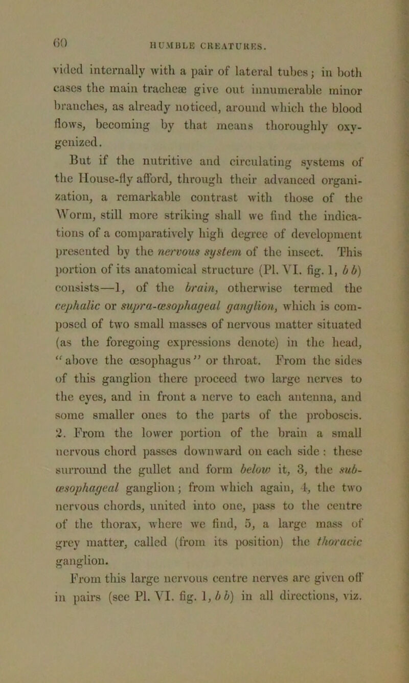 (50 vicled internally with a pair of lateral tubes; in both cases the main tracheae give out innumerable minor branches, as already noticed, around which the blood flows, becoming by that means thoroughly oxy- genized. But if the nutritive and circulating systems of the House-fly afford, through their advanced organi- zation, a remarkable contrast with those of the Worm, still more striking shall we find the indica- tions of a comparatively high degree of development presented by the nervous system of the insect. This portion of its anatomical structure (PI. VI. fig. 1, bb) consists—1, of the brain, otherwise termed the cephalic or supra-aisophageal ganglion, which is com- posed of two small masses of nervous matter situated (as the foregoing expressions denote) in the head, “ above the oesophagus ” or throat. From the sides of this ganglion there proceed two large nerves to the eyes, and in front a nerve to each antenna, and some smaller ones to the parts of the proboscis. 2. From the lower portion of the brain a small nervous chord passes downward on each side : these surround the gullet and form belov) it, 3, the sub- cpsophageal ganglion; from which again, 4, the two nervous chords, united into one, pass to the centre of the thorax, where we find, 5, a large mass of grey matter, called (from its position) the thoracic ganglion. From this large nervous centre nerves are given off in pairs (see PI. VI. fig. 1 ,bb) in all directions, viz.