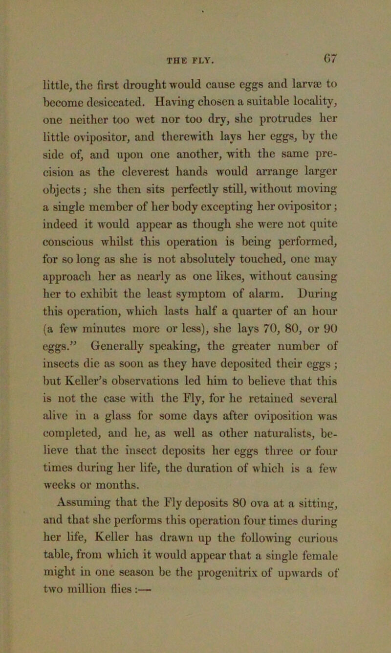 (17 little, the first drought would cause eggs and larvae to become desiccated. Having chosen a suitable locality, one neither too wet nor too dry, she protrudes her little ovipositor, and therewith lays her eggs, by the side of, and upon one another, with the same pre- cision as the cleverest hands would arrange larger objects ; she then sits perfectly still, without moving a single member of her body excepting her ovipositor; indeed it M ould appear as though she Mrere not quite conscious whilst this operation is being performed, for so long as she is not absolutely touched, one may approach her as nearly as one likes, without causing her to exhibit the least symptom of alarm. During this operation, which lasts half a quarter of an hour (a few minutes more or less), she lays 70, 80, or 90 eggs.” Generally speaking, the greater number of insects die as soon as they have deposited their eggs; but Keller’s observations led him to believe that this is not the case with the Fly, for he retained several alive in a glass for some days after oviposition was completed, and he, as well as other naturalists, be- lieve that the insect deposits her eggs three or four times during her life, the duration of uhicli is a feu- weeks or months. Assuming that the Fly deposits 80 ova at a sitting, and that she performs this operation four times during her life, Keller has drawn up the following curious table, from which it would appear that a single female might in one season be the progenitrix of upuards of two million flies :—