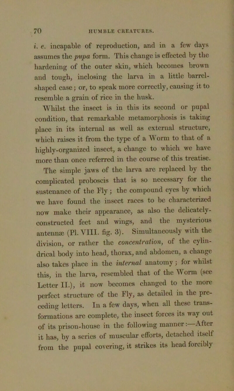 i. e. incapable of reproduction, and in a few days assumes tbe pupa form. This change is effected by the hardening of the outer skin, which becomes brown and tough, inclosing the larva in a little barrel- shaped case; or, to speak more correctly, causing it to resemble a grain of rice in the husk. Whilst the insect is in this its second or pupal condition, that remarkable metamorphosis is taking place in its internal as well as external structure, which raises it from the type of a Worm to that of a highly-organized insect, a change to which we have more than once referred in the course of this treatise. The simple jaws of the larva are replaced by the complicated proboscis that is so necessary for the sustenance of the Fly ; the compound eyes by which we have found the insect races to be characterized now make their appearance, as also the delicately- constructed feet and wings, and the mysterious antenna? (PI. VIII. fig. 3). Simultaneously with the division, or rather the concentration, of the cylin- drical body into head, thorax, and abdomen, a change also takes place in the internal anatomy ; for whilst this, in the larva, resembled that of the W orm (see Letter II.), it now becomes changed to the more perfect structure of the Fly, as detailed in the pre- ceding letters. In a few days, when all these trans- formations arc complete, the insect forces its way out of its prison-house in the following manner: After it has, by a series of muscular efforts, detached itself from the pupal covering, it strikes its head forcibly