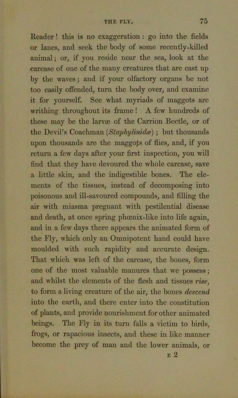 Header! this is no exaggeration : go into the fields or lanes, and seek the body of some recently-killed animal; or, if you reside near the sea, look at the carcase of one of the many creatures that arc cast up by the waves; and if your olfactory organs he not too easily offended, turn the body over, and examine it for yourself. See what myriads of maggots are writhing throughout its frame ! A few hundreds of these may be the larvae of the Carrion Beetle, or of the Devil’s Coachman (Staphylinidce); but thousands upon thousands are the maggots of flies, and, if you return a few days after your first inspection, you will find that they have devoured the whole carcase, save a little skin, and the indigestible bones. The ele- ments of the tissues, instead of decomposing into poisonous and ill-savoured compounds, and filling the air with miasma pregnant with pestilential disease and death, at once spring phoenix-like into life again, and in a few days there appeal’s the animated form of the Fly, which only an Omnipotent hand could have moulded with such rapidity and accurate design. That which was left of the carcase, the bones, form one of the most valuable manures that we possess; and whilst the elements of the flesh and tissues rise, to form a living creature of the air, the bones descend into the earth, and there enter into the constitution of plants, and provide nourishment for other animated beings. The Fly in its turn falls a victim to birds, frogs, or rapacious insects, and these in like manner become the prey of man and the lower animals, or e 2