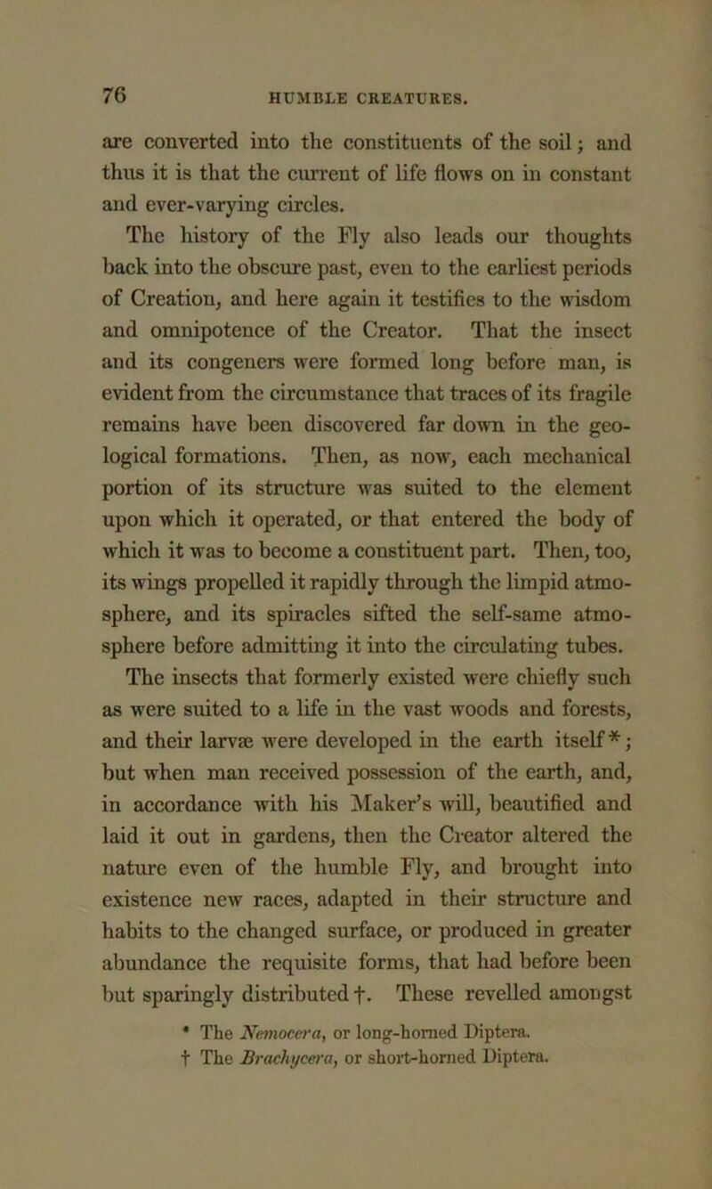are converted into the constituents of the soil; and thus it is that the current of life flows on in constant and ever-varying circles. The history of the Fly also leads our thoughts back into the obscure past, even to the earliest periods of Creation, and here again it testifies to the wisdom and omnipotence of the Creator. That the insect and its congeners were formed long before man, is evident from the circumstance that traces of its fragile remains have been discovered far down in the geo- logical formations. Then, as now, each mechanical portion of its structure was suited to the element upon which it operated, or that entered the body of which it was to become a constituent part. Then, too, its wings propelled it rapidly through the limpid atmo- sphere, and its spiracles sifted the self-same atmo- sphere before admitting it into the circulating tubes. The insects that formerly existed were chiefly such as were suited to a life in the vast woods and forests, and their larvae were developed in the earth itself*; but when man received possession of the earth, and, in accordance Avitli his Maker’s will, beautified and laid it out in gardens, then the Creator altered the nature even of the humble Fly, and brought into existence new races, adapted in their structure and habits to the changed surface, or produced in greater abundance the requisite forms, that had before been but sparingly distributed +. These revelled amongst * The Neviocera, or long-homed Diptera. t The Brachycera, or short-homed Diptera.
