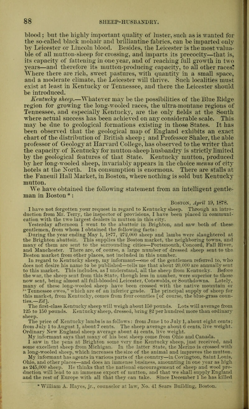 blood; but the highly important quality of luster, such as is wanted for the so-called black mohair and brilliantine fabrics, can be imparted only by Leicester or Lincoln blood. Besides, the Leicester is the most valua- ble of all muttou-sheep for crossing, and imparts its precocity—that is, its capacity of fattening in one year, and of reaching full growth in two years—and therefore its mutton-producing capacity, to all other races! Where there are rich, sweet pastures, with quantity in a small space, and a moderate climate, the Leicester will thrive. Such localities must exist at least in Kentucky or Tennessee, and there the Leicester should be introduced. Kentucky sheep.—Whatever may be the possibilities of the Blue Bidge region for growing the long-wooled races, the ultra-montane regions of Tennessee, and especially Kentucky, are the only fields at the South where actual success has been achieved on any considerable scale. This may be due to geological formations existing in those States. It has been observed that the geological map of England exhibits an exact chart of the distribution of British sheep; and Professor Shaler, the able professor of Geology at Harvard College, has observed to the writer that the capacity of Kentucky for mutton-sheep husbandry is strictly limited by the geological features of that State. Kentucky mutton, produced by her long-wooled sheep, invariably appears in the choice menus of city hotels at the Korth. Its consumption is enormous. There are stalls at the Faneuil Hall Market, in Boston, where nothing is sold but Kentucky mutton. We have obtained the following statement from an intelligent gentle- man in Boston *: Boston, April 19, 1878. I have not forgotten your request in regard to Kentucky sheep. Through an intro- duction from Mr. Terry, the inspector of provisions, I have been placed in communi- cation with the two largest dealers in mutton in this city. Yesterday afternoon I went to the abattoir in Brighton, and saw both of these gentlemen, from whom I obtained the following facts: During the year ending May 1, 1877, 272,000 sheep and lambs were slaughtered at the Brighton abattoir. This supplies the Boston market, the neighboring towns, and many of them are sent to the surrounding cities—Portsmouth, Concord, Fall River, and Manchester. There are, of course, a large number of dressed sheep sent to the Boston market from other places, not included in this number. In regard to Kentucky sheep, my informant—one of the gentlemen referred to, who does not desire his name to be published—tells me that about 20,000 are annually sent to this market. This includes, as I understand, all the sheep from Kentucky. Before the war, the sheep sent from this State, though less in number, were superior to those now sent, being almost all full-blooded Leicester, Cotswolds, or Southdowns. Lately, many of these long-wooled sheep have been crossed with the native mountain or “ Tennessee ewes,” which are of an inferior grade. The principal supply of sheep for this market, from Kentucky, comes from four counties [of course, the blue-grass coun- ties.—EcL]. The first-class Kentucky sheep will weigh about 150 pounds. Lots will average from 125 to 150 pounds. Kentucky sheep, dressed, bring $2 per hundred more than ordinary sheep. The price of Kentucky lambs is as follows: from June 1 to July 1, about eight cents; from July 1 to August 1, about 7 cents. The sheep average about 6 cents, live weight. Ordinary New England sheep average about 44- cents, live weight. My informant says that many of his best sheep come from Ohio and Canada. I saw in the pens at Brighton some very fine Kentucky sheep, just received, and some excellent sheep from Michigan. In the latter State, the Merino is crossed with a long-wooled sheep, which increases the size of the animal and improves the mutton. My informant has agents in various parts of the country—in Covington, Saint Louis, Ohio, and other places—and does an immense business, amounting in one year as high as 245,000 sheep. He thinks that the national encouragement of sheep and wool pro- duction will lead to an immense export of mutton, and that we shall supply England and the rest of Europe with all that they can take. Since December 1 he has killed * William A. Hayes, jr., counselor at law, No. 41 Sears Building, Boston.