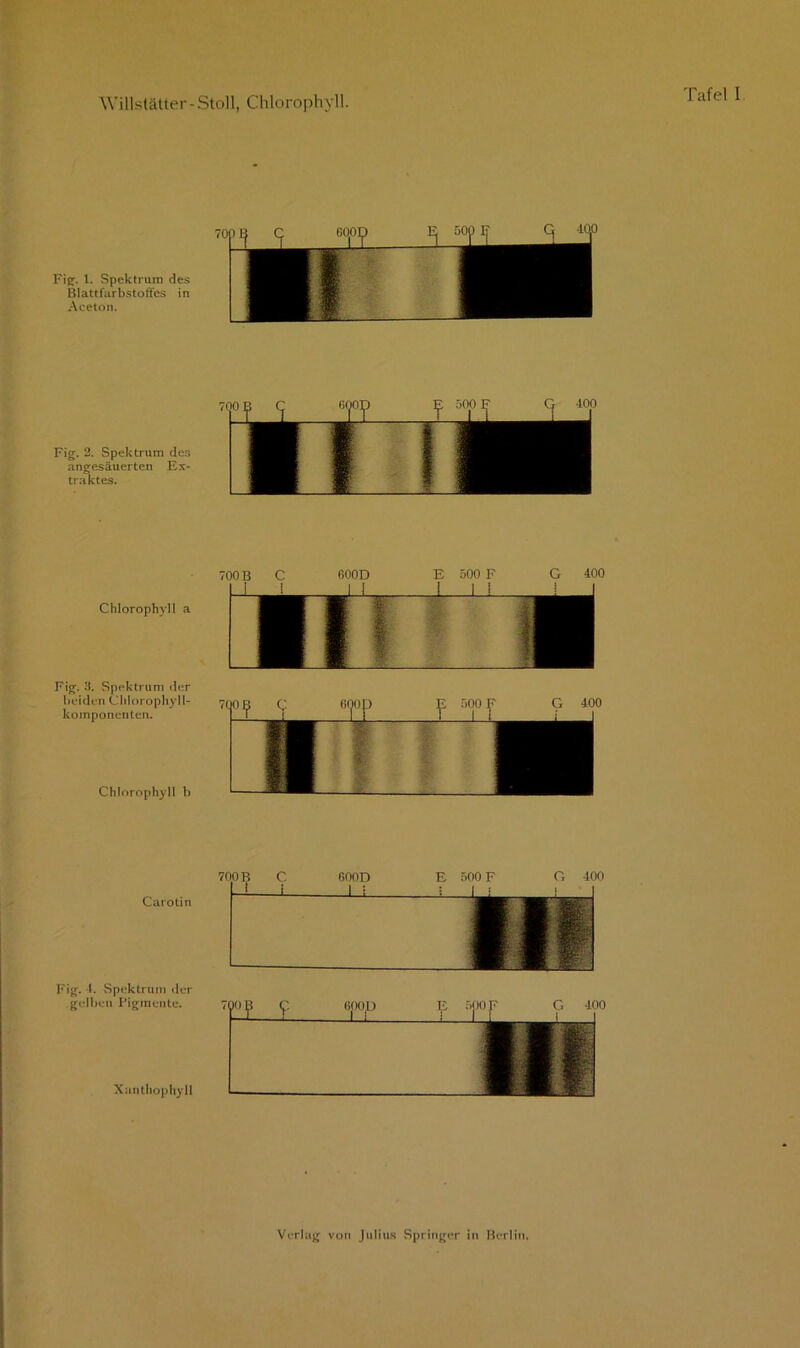 Chlorophyll a Fig. 3. Spektrum der beiden Chlorophyll- koinponenten. Chlorophyll b Carotin Fig. 1. Spektrum der gelben Pigmente. Xanthophyll