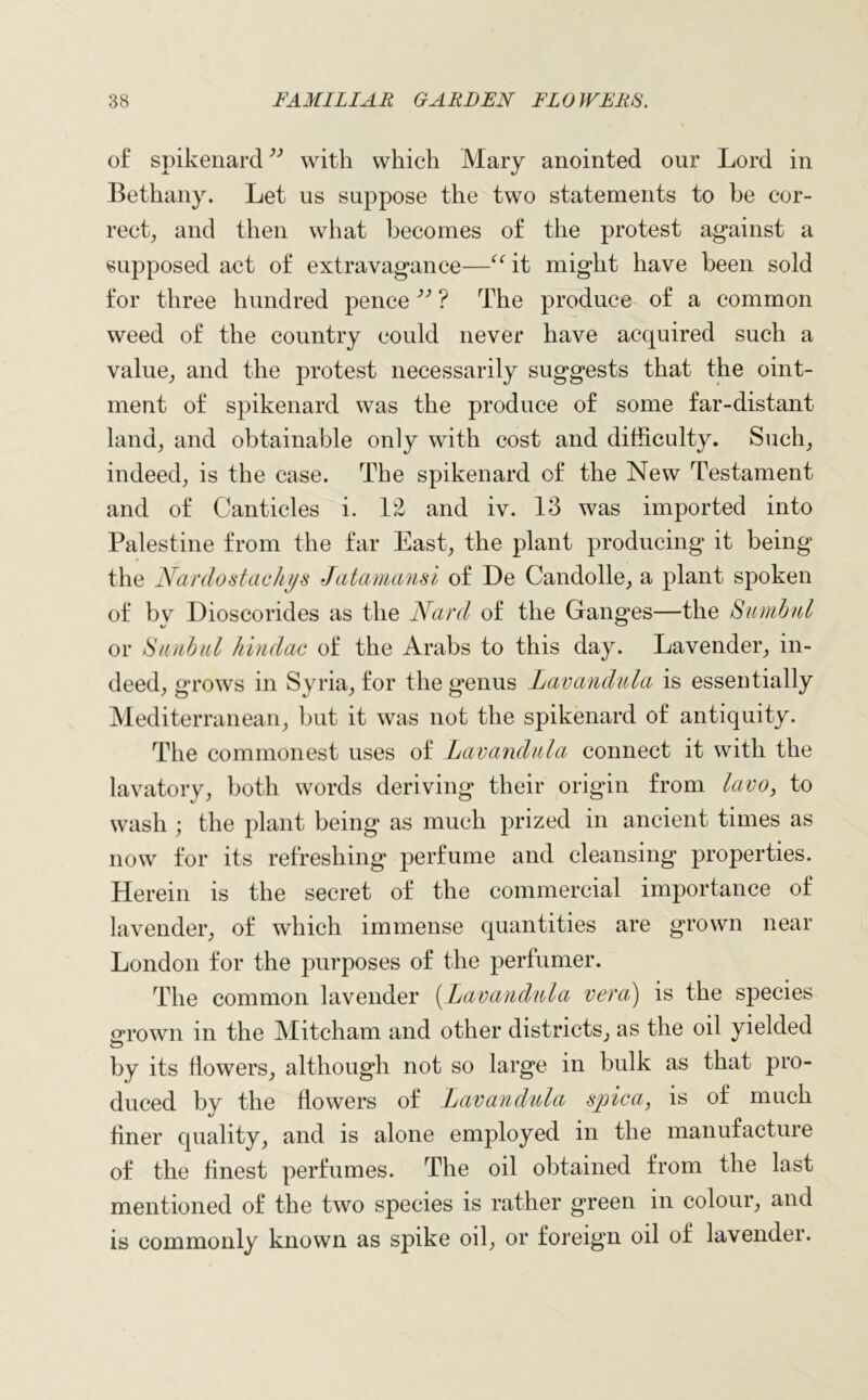of spikenard ” with which Mary anointed our Lord in Bethany. Let us suppose the two statements to be cor- rect, and then what becomes of the protest against a supposed act of extravagance—“ it might have been sold for three hundred pence 33 ? The produce of a common weed of the country could never have acquired such a value, and the protest necessarily suggests that the oint- ment of spikenard was the produce of some far-distant land, and obtainable only with cost and difficulty. Such, indeed, is the case. The spikenard of the New Testament and of Canticles i. 12 and iv. 13 was imported into Palestine from the far East, the plant producing it being the Nardostachgs Jatamansi of De Candolle, a plant spoken of bv Dioscorides as the Nard of the Ganges—the Sumbul or Sunbul hindac of the Arabs to this day. Lavender, in- deed, grows in Syria, for the genus Lavandula is essentially Mediterranean, but it was not the spikenard of antiquity. The commonest uses of Lavandula connect it with the lavatory, both words deriving their origin from lavo, to wash ; the plant being as much prized in ancient times as now for its refreshing perfume and cleansing properties. Herein is the secret of the commercial importance of lavender, of which immense quantities are grown near London for the purposes of the perfumer. The common lavender (Lavandula veva) is the species grown in the Mitcham and other districts, as the oil yielded by its dowers, although not so large in bulk as that pro- duced by the dowers of Lavandula spica, is of much dner quality, and is alone employed in the manufacture of the dnest perfumes. The oil obtained from the last mentioned of the two species is rather green in colour, and is commonly known as spike oil, or foreign oil of lavender.