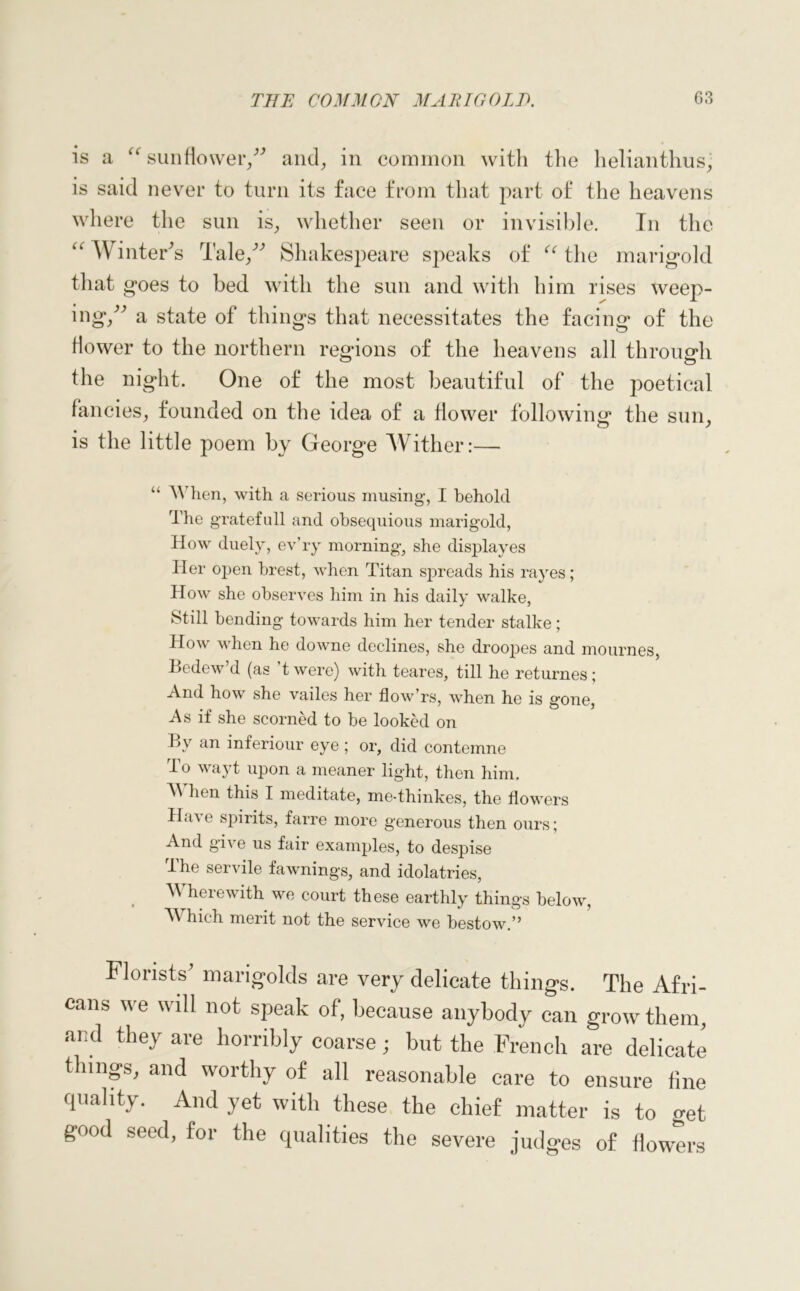 is a u sunflower,” and, in common with the helianthus, is said never to turn its face from that part of the heavens where the sun is, whether seen or invisible. In the “Winter's Tale Shal cespeare speaks of “ the marigold that goes to bed with the sun and with him rises weep- ing,” a state of things that necessitates the facing of the dower to the northern regions of the heavens all through the night. One of the most beautiful of the poetical fancies, founded on the idea of a flower following the sun, is the little poem by George Wither:— “ When, with a serious musing, I behold The gratefull and obsequious marigold, How duely, ev’ry morning, she displayes Her open brest, when Titan spreads his rayes; How she observes him in his daily walke, ►Still bending towards him her tender stalke; How when he downe declines, she droopes and mournes, Bedew’d (as ’twere) with teares, till he returnes; And how she vailes her flow’rs, when he is gone, As if she scorned to be looked on By an inferiour eye ; or, did contemne To wayt upon a meaner light, then him. When this I meditate, me-thinkes, the flowers Ha'se spirits, farre more generous then ours; And give us fair examples, to despise dhe servile fawnings, and idolatries, M herewith we court these earthly things below, TV hich merit not the service we bestow.” Florists' marigolds are very delicate things. The Afri- cans we will not speak of, because anybody can grow them, and they are horribly coarse; but the French are delicate things, and worthy of all reasonable care to ensure tine quality. And yet with these the chief matter is to o-et good seed, for the qualities the severe judges of flowers