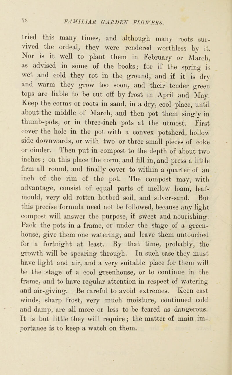 tried this many times, and although many roots sur- vived the ordeal, they were rendered worthless by it. Nor is it well to plant them in February or March, as advised in some of the books; for if the spring is wet and cold they rot in the ground, and if it is dry and warm they grow too soon, and their tender green tops are liable to be cut oft* by frost in April and May. Keep the conns or roots in sand, in a dry, cool place, until about the middle of March, and then pot them singly in thumb-pots, or in three-inch pots at the utmost. First cover the hole in the pot with a convex potsherd, hollow side downwards, or with two or three small pieces of coke or cinder. Then put in compost to the depth of about two inches; on this place the corm, and fill in, and press a little tirm all round, and finally cover to within a quarter of an inch of the rim of the pot. The compost may, with advantage, consist of equal parts of mellow loam, leaf- mould, very old rotten hotbed soil, and silver-sand. But this precise formula need not be followed, because any light compost will answer the purpose, if sweet and nourishing. Pack the pots in a frame, or under the stage of a green- house, give them one watering, and leave them untouched for a fortnight at least. By that time, probably, the growth will be spearing through. In such case they must have light and air, and a very suitable place for them will be the stage of a cool greenhouse, or to continue in the frame, and to have regular attention in respect of watering and air-giving. Be careful to avoid extremes. Keen east winds, sharp frost, very much moisture, continued cold and damp, are all more or less to be feared as dangerous. It is but little they will require; the matter of main im- portance is to keep a watch on them.