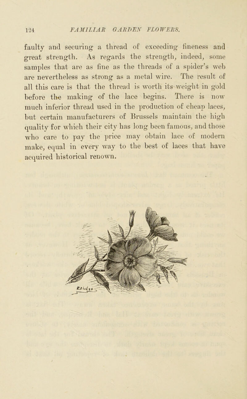 faulty and securing* a thread of exceeding fineness and great strength. As regards the strength, indeed, some samples that are as fine as the threads of a spider's web are nevertheless as strong as a metal wire. The result of all this care is that the thread is worth its weight in gold before the making of the lace begins. There is now much inferior thread used in the production of cheap laces, but certain manufacturers of Brussels maintain the high quality for which their city has long been famous, and those who care to pay the price may obtain lace of modern make, equal in every way to the best of laces that have acquired historical renown.