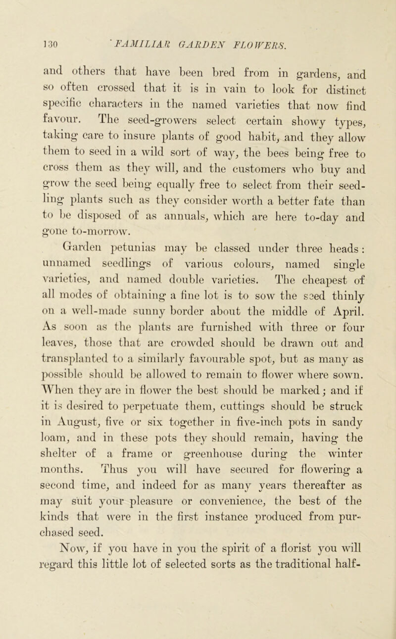 and others that have been bred from in gardens, and so often crossed that it is in vain to look for distinct specific characters in the named varieties that now find favour. The seed-growers select certain showy types, taking care to insure plants of good habit, and they allow them to seed in a wild sort of way, the bees being free to cross them as they will, and the customers who buy and grow the seed being equally free to select from their seed- ling plants such as they consider worth a better fate than to be disposed of as annuals, Avhich are here to-day and gone to-morrow. Garden petunias may be classed under three heads : unnamed seedlings of various colours, named single varieties, and named double varieties. The cheapest of all modes of obtaining a fine lot is to sow the seed thinly on a well-made sunny border about the middle of April. As soon as the plants are furnished with three or four leaves, those that are crowded should be drawn out and transplanted to a similarly favourable spot, but as many as possible should be allowed to remain to flower where sown. When they are in flower the best should be marked; and if it is desired to perpetuate them, cuttings should be struck in August, five or six together in five-inch pots in sandy loam, and in these pots they should remain, having the shelter of a frame or greenhouse during the winter months. Thus you will have secured for flowering a second time, and indeed for as many years thereafter as may suit your pleasure or convenience, the best of the kinds that were in the first instance produced from pur- chased seed. Now, if you have in you the spirit of a florist you will regard this little lot of selected sorts as the traditional half-