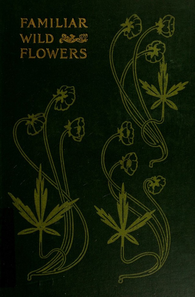digitised image 1