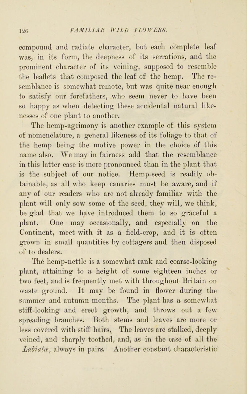 compound and radiate character, but each complete leaf was, in its form, the deepness of its serrations, and the prominent character of its veining, supposed to resemble the leaflets that composed the leaf of the hemp. The re- semblance is somewhat remote, but was quite near enough to satisfy our forefathers, who seem never to have been so happy as when detecting these accidental natural like- nesses of one plant to another. The hemp-agrimony is another example of this system of nomenclature, a general likeness of its foliage to that of the hemp being the motive power in the choice o£ this name also. We may in fairness add that the resemblance in this latter case is more pronounced than in the plant that is the subject of our notice. Hemp-seed is readily ob- tainable, as all who keep canaries must be aware, and if any of our readers who are not already familiar with the plant will only sow some of the seed, they will, we think, be glad that we have introduced them to so graceful a plant. One may occasionally, and especially on the Continent, meet with it as a field-crop, and it is often grown in small quantities by cottagers and then disposed of to dealers. The hemp-nettle is a somewhat rank and coarse-looking plant, attaining to a height of some eighteen inches or two feet, and is frequently met with throughout Britain on waste ground. It may be found in flower during the summer and autumn months. The plant has a somewhat stiff-looking and erect growth, and throws out a few spreading branches. Both stems and leaves are more or less covered with stiff hairsv The leaves are stalked, deeply veined, and sharply toothed, and, as in the case of all the Labiatce, always in pairs. Another constant characteristic