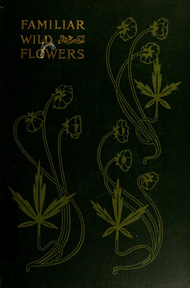 digitised image 1