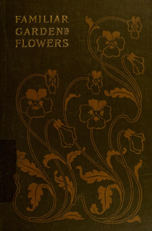 digitised image 1