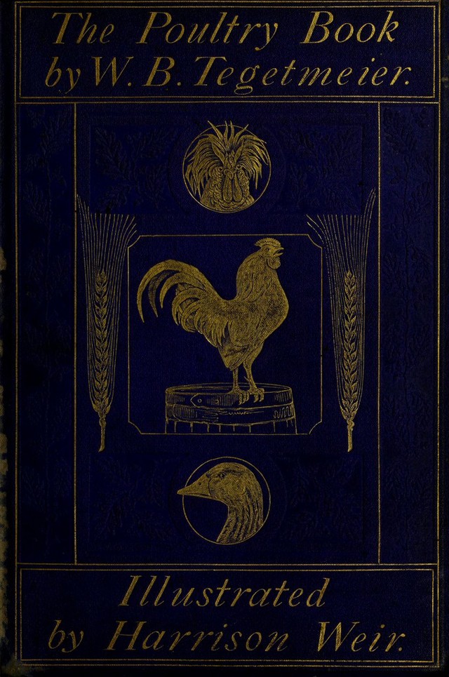 No text description is available for this image