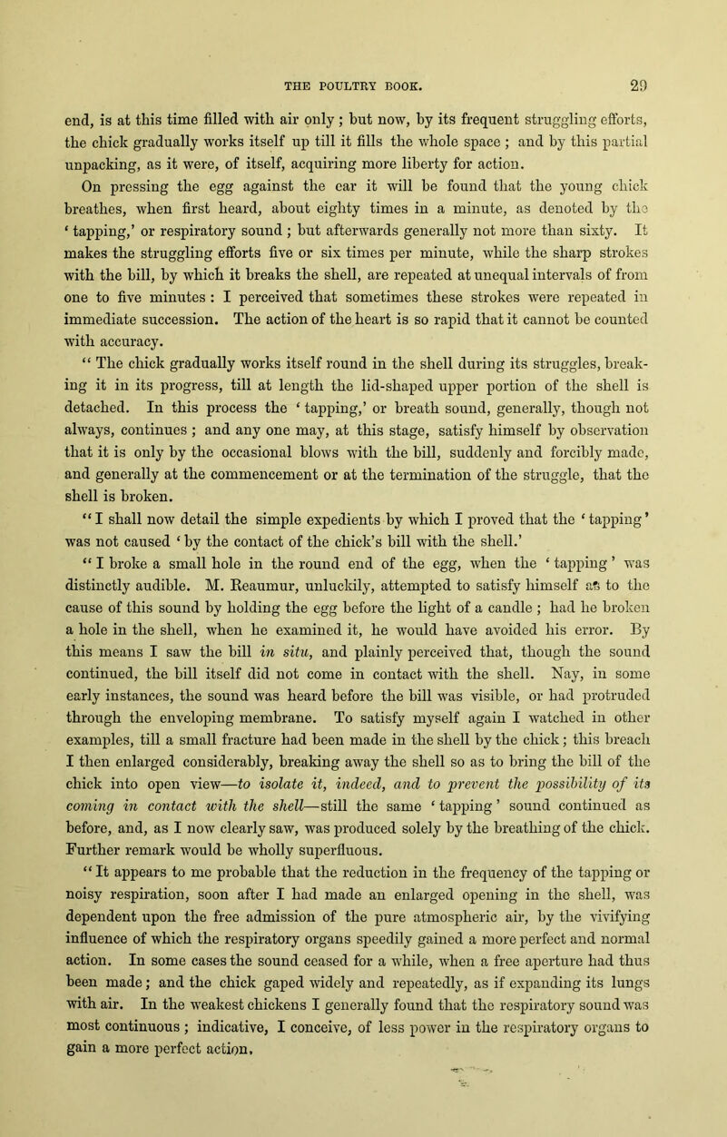 end, is at this time filled with air only; but now, hy its frequent struggling efforts, the chick gradually works itself up till it fills the whole space ; and by this partial unpacking, as it were, of itself, acquiring more liberty for action. On pressing the egg against the ear it will he found that the young chick breathes, when first heard, about eighty times in a minute, as denoted by the * tapping,’ or respiratory sound ; but afterwards generally not more than sixty. It makes the struggling efforts five or six times per minute, while the sharp strokes with the hill, hy which it breaks the shell, are repeated at unequal intervals of from one to five minutes : I perceived that sometimes these strokes were repeated in immediate succession. The action of the heart is so rapid that it cannot be counted with accuracy. “ The chick gradually works itself round in the shell during its struggles, break- ing it in its progress, till at length the lid-shaped upper portion of the shell is detached. In this process the ‘ tapping,’ or breath sound, generally, though not always, continues ; and any one may, at this stage, satisfy himself hy observation that it is only by the occasional blows with the hill, suddenly and forcibly made, and generally at the commencement or at the termination of the struggle, that the shell is broken. “ I shall now detail the simple expedients by which I proved that the * tapping’ was not caused ‘ hy the contact of the chick’s hill with the shell.’ “ I broke a small hole in the round end of the egg, when the ‘ tapping ’ was distinctly audible. M. Reaumur, unluckily, attempted to satisfy himself a£ to the cause of this sound hy holding the egg before the light of a candle ; had he broken a hole in the shell, when he examined it, he would have avoided his error. By this means I saw the hill in situ, and plainly perceived that, though the sound continued, the hill itself did not come in contact with the shell. Nay, in some early instances, the sound was heard before the bill was visible, or had protruded through the enveloping membrane. To satisfy myself again I watched in other examples, till a small fracture had been made in the shell hy the chick; this breach I then enlarged considerably, breaking away the shell so as to bring the hill of the chick into open view—to isolate it, indeed, and to 'prevent the possibility of its coming in contact with the shell—still the same ‘ tapping ’ sound continued as before, and, as I now clearly saw, was produced solely by the breathing of the chick. Further remark would he wholly superfluous. “ It appears to me probable that the reduction in the frequency of the tapping or noisy respiration, soon after I had made an enlarged opening in the shell, was dependent upon the free admission of the pure atmospheric air, hy the vivifying influence of which the respiratory organs speedily gained a more perfect and normal action. In some cases the sound ceased for a while, when a free aperture had thus been made; and the chick gaped widely and repeatedly, as if expanding its lungs with air. In the weakest chickens I generally found that the respiratory sound was most continuous ; indicative, I conceive, of less power in the respiratory organs to gain a more perfect action.