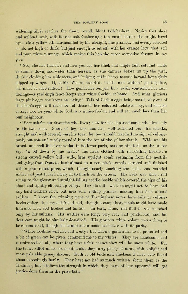 widening till it reaches the short, round, blunt tail-feathers. Notice that short and well-set neck, with its rich soft feathering ; the small head ; the bright hazel eye ; clear yellow bill, surmounted by the straight, fine-grained, and evenly-serrated comb, not high or thick, but just enough to set off, with her orange legs, that soft and pure white plumage which makes this hen the most attractive feature in my yard. “ See, she has turned ; and now you see her thick and ample fluff, soft and white as swan’s down, and wider than herself, as she canters before us up the yard, thickly clothing her wide stern, and bulging out in heavy masses beyond her tightly clipped-up wings. If, as Mr. Weller asserted, ‘ vidth and visdom ’ go together, she must be sage indeed ! How genial her temper, how easily controlled her wan- derings—a yard-high fence keeps your white Cochin at home. And what glorious large pink eggs she keeps on laying ! Talk of Cochin eggs being small, why one of this hen’s eggs will make two of those of her coloured relatives—ay, and cheaper eating, too, for your white Cochin is a nice feeder, and will eat much less than her buff neighbour. “ So much for our favourite who lives ; now for her departed mate, who lives only in his two sons. Short of leg, too, was he; well-feathered were his shanks, straight and well-covered were his toes ; he, too, should have had no sign of vulture- hock, hut soft and nicely rounded into the top of the yellow shank. Wide was his breast, and well filled out withal in its lower parts, making him look, as the sailors say, ‘ a hit down by the head; ’ his neck clothed with rich-falling hackle ; a strong curved yellow hill; wide, firm, upright comb, springing from the nostrils and going from front to hack almost in a semicircle, evenly serrated and finished with a plain round piece, which, though nearly touching the neck, was rounded under and just tucked nicely in to finish on the crown. His back was short, and rising to the glossy and straight-falling saddle hackle which covered the tips of his short and tightly clipped-up wings. For his tail—well, he ought not to have had any hard feathers in it, but nice soft, rolling plumes, making him look almost tailless. I know the winning pens at Birmingham never have tails or vulture- hocks either ; hut my old friend had, though a compulsory moult might have made him also look soft-hocked and tailless. In back, loins, and fluff he was matched only by his sultana. His wattles were long, very red, and pendulous; and his deaf ears might he similarly described. His glorious white colour was a thing to be remembered, though the summer sun made sad havoc with its purity. “White Cochins will not suit a city; hut when a garden has to he protected and a hit of green can be given, commend me to my whites. They are handsome and massive to look at; where they have a fair chance they will be snow white. For the table, killed under six months old, they carry plenty of meat, with a slight and most palatable gamey flavour. Both as old birds and chickens I have ever found them exceedingly hardy. They have not had as much written about them as the Brahmas, but I believe the strength in which they have of late appeared will get justice done them in the prize-lists.”