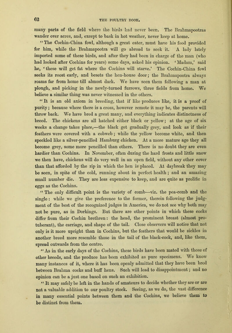 many parts of the field where the birds had never been. The Brahmapootras wander over acres, and, except to bask in hot weather, never keep at home. “ The Cochin-China fowl, although a great eater, must have his food provided for him, while the Brahmapootra will go abroad to seek it. A lady lately imported some of these birds, and after they had been in charge of the man (who had looked after Cochins for years) some days, asked his opinion. ‘ Madam,’ said he, ‘ these will get fat where the Cochins will starve.’ The Cochin-China fowl seeks its roost early, and besets the hen-house door; the Brahmapootra always roams far from home till almost dark. We have seen them following a man at plough, and picking in the newly-turned furrows, three fields from home. We believe a similar thing was never witnessed in the others. “It is an old axiom in breeding, that if like produces like, it is a proof of purity; because where there is a cross, however remote it may be, the parents will throw back. We have bred a great many, and everything indicates distinctness of breed. The chickens are all hatched either black or yellow; at the age of six weeks a change takes place,—the black get gradually grey, and look as if their feathers were covered with a cobweb ; while the yellow become white, and then speckled like a silver-pencilled Hamburg chicken. At a more mature age they all become grey, some more pencilled than others. There is no doubt they are even hardier than Cochins. In November, often during the hard frosts and little snow we then have, chickens will do very well in an open field, without any other cover than that afforded by the rip in which the hen is placed. At daybreak they may be seen, in spite of the cold, running about in perfect health; and an amazing small number die. They are less expensive to keep, and are quite as prolific in eggs as the Cochins. “ The only difficult point is the variety of comb—viz. the pea-comh and the single : while we give the preference to the former, therein following the judg- ment of the best of the recognized judges in America, we do not see why both may not be pure, as in Dorkings. But there are other points in which these cocks differ from their Cochin brethren: the head, the prominent breast (almost pro- tuberant), the carriage, and shape of the tail. Close observers will notice that not only is it more upright than in Cochins, but the feathers that would be sickles in another breed more resemble those in the tail of the black-cock, and, like them, spread outwards from the centre. “As in the early days of the Cochins, these birds have been mated with those of other breeds, and the produce has been exhibited as pure specimens. We know many instances of it, where it has been openly admitted that they have been bred between Brahma cocks and huff hens. Such will lead to disappointment; and no opinion can be a just one based on such an exhibition. “ It may safely be left in the hands of amateurs to decide whether they are or are not a valuable addition to our poultry stock. Seeing, as we do, the vast difference in many essential points between them and the Cochins, we believe them to be distinct from them.