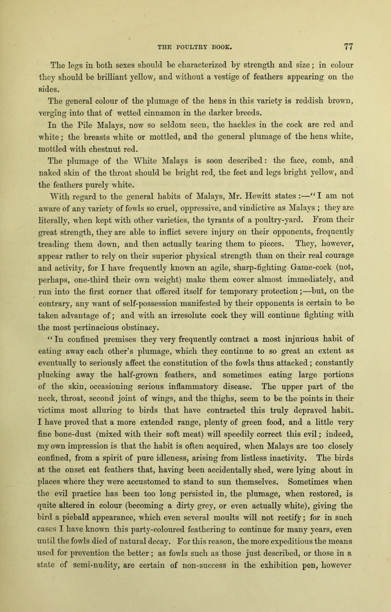Tlie legs in both sexes should be characterized by strength and size; in colour they should be brilliant yellow, and without a vestige of feathers appearing on the sides. The general colour of the plumage of the hens in this variety is reddish brown, verging into that of wetted cinnamon in the darker breeds. In the Pile Malays, now so seldom seen, the hackles in the cock are red and white; the breasts white or mottled, and the general plumage of the hens white, mottled with chestnut red. The plumage of the White Malays is soon described: the face, comb, and naked skin of the throat should be bright red, the feet and legs bright yellow, and the feathers purely white. With regard to the general habits of Malays, Mr. Hewitt states :—“I am not aware of any variety of fowls so cruel, oppressive, and vindictive as Malays ; they are literally, when kept with other varieties, the tyrants of a poultry-yard. From their great strength, they are able to inflict severe injury on their opponents, frequently treading them down, and then actually tearing them to pieces. They, however, appear rather to rely on their superior physical strength than on their real courage and activity, for I have frequently known an agile, sharp-fighting Game-cock (not, perhaps, one-third their own weight) make them cower almost immediately, and run into the first corner that offered itself for temporary protection;—but, on the contrary, any want of self-possession manifested by their opponents is certain to be taken advantage of; and with an irresolute cock they will continue fighting with the most pertinacious obstinacy. “ In confined premises they very frequently contract a most injurious habit of eating away each other’s plumage, which they continue to so great an extent as eventually to seriously affect the constitution of the fowls thus attacked ; constantly plucking away the half-grown feathers, and sometimes eating large portions of the skin, occasioning serious inflammatory disease. The upper part of the neck, throat, second joint of wings, and the thighs, seem to be the points in their victims most alluring to birds that have contracted this truly depraved habit.. I have proved that a more extended range, plenty of green food, and a little veiy fine bone-dust (mixed with their soft meat) will speedily correct this evil; indeed, my own impression is that the habit is often acquired, when Malays are too closely confined, from a spirit of pure idleness, arising from listless inactivity. The birds at the onset eat feathers that, having been accidentally shed, were lying about in places where they were accustomed to stand to sun themselves. Sometimes when the evil practice has been too long persisted in, the plumage, when restored, is quite altered in colour (becoming a dirty grey, or even actually white), giving the bird a piebald appearance, which even several moults will not rectify; for in such cases I have known this party-coloured feathering to continue for many years, even until the fowls died of natural decay. For this reason, the more expeditious the means used for prevention the better; as fowls such as those just described, or those in a state of semi-nudity, are certain of non-success in the exhibition pen, however