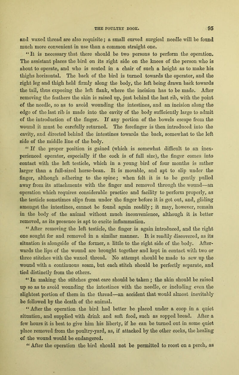 and waxed thread are also requisite; a small curved surgical needle will be found much more convenient in use than a common straight one. “It is necessary that there should be two persons to perform the operation. The assistant places the bird on its right side on the knees of the person who is about to operate, and who is seated in a chair of such a height as to make his thighs horizontal. The hack of the bird is turned towards the operator, and the right leg and thigh held firmly along the body, the left being drawn hack towards the tail, thus exposing the left flank, where the incision has to he made. After removing the feathers the skin is raised up, just behind the last rib, with the point of the needle, so as to avoid wounding the intestines, and an incision along the edge of the last rib is made into the cavity of the body sufficiently large to admit of the introduction of the finger. If any portion of the bowels escape from the wound it must he carefully returned. The forefinger is then introduced into the cavity, and directed behind the intestines towards the back, somewhat to the left side of the middle line of the body. “ If the proper position is gained (which is somewhat difficult to an inex- perienced operator, especially if the cock is of full size), the finger comes into contact with the left testicle, which in a young bird of four months is rather larger than a full-sized horse-bean. It is movable, and apt to slip under the finger, although adhering to the spine; when felt it is to he gently pulled away from its attachments with the finger and removed through the wound—an operation which requires considerable practice and facility to perform properly, as the testicle sometimes slips from under the finger before it is got out, and, gliding amongst the intestines, cannot be found again readily; it may, however, remain in the body of the animal without much inconvenience, although it is better removed, as its presence is apt to excite inflammation. “ After removing the left testicle, the finger is again introduced, and the right one sought for and removed in a similar manner. It is readily discovered, as its situation is alongside of the former, a little to the right side of the body. After- wards the lips of the wound are brought together and kept in contact with two or three stitches with the waxed thread. No attempt should be made to sew up the wound with a continuous seam, but each stitch should be perfectly separate, and tied distinctly from the others. “ In making the stitches great care should he taken ; the skin should he raised up so as to avoid wounding the intestines with the needle, or including even the slightest portion of them in the thread—an accident that would almost inevitably be followed by the death of the animal. “ After the operation the bird had better be placed under a coop in a quiet situation, and supplied with drink and soft food, such as sopped bread. After a few hours it is best to give him his liberty, if he can he turned out in some quiet place removed from the poultry-yard, as, if attacked by the other cocks, the healing of the wound would be endangered. “ After the operation the bird should not be permitted to roost on a perch, as