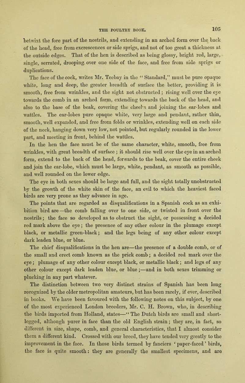 betwixt the fore part of the nostrils, and extending in an arched form over the hack of the head, free from excrescences or side sprigs, and not of too great a thickness at the outside edges. That of the hen is described as being gloss}', bright red, large, single, serrated, drooping, over one side of the face, and free from side sprigs or duplications. The face of the cock, writes Mr. Teebay in the “ Standard,” must be pure opaque white, long and deep, the greater breadth of surface the better, providing it is smooth, free from wrinkles, and the sight not obstructed; rising well over the eye towards the comb in an arched form, extending towards the hack of the head, and also to the base of the beak, covering the cheeks and joining the ear-lobes and wattles. The ear-lobes pure opaque white, very large and pendant, rather thin, smooth, well expanded, and free from folds or wrinldes, extending well on each side of the neck, hanging down very low, not pointed, hut regularly rounded in the lower part, and meeting in front, behind the wattles. In the hen the face must he of the same character, white, smooth, free from wrinkles, with great breadth of surface ; it should rise well over the eye in an arched form, extend to the hack of the head, forwards to the beak, cover the entire cheek and join the ear-lobe, wdiich must he large, white, pendant, as smooth as possible, and well rounded on the lower edge. The eye in both sexes should be large and full, and the sight totally unobstructed by the growth of the white skin of the face, an evil to which the heaviest faced birds are very prone as they advance in age. The points that are regarded as disqualifications in a Spanish cock as an exhi- bition bird are—the comb falling over to one side, or twisted in front over the nostrils; the face so developed as to obstruct the sight, or possessing a decided red mark above the eye; the presence of any other colour in the plumage except black, or metallic green-black; and the legs being of any other colour except dark leaden blue, or blue. The chief disqualifications in the hen are—the presence of a double comb, or of the small and erect comb known as the prick comb; a decided red mark over the eye; plumage of any other colour except black, or metallic black; and legs of any other colour except dark leaden blue, or blue;—and in both sexes trimming or plucking in any part wdiatever. The distinction between two very distinct strains of Spanish has been long recognized by the older metropolitan amateurs, but has been rarely, if ever, described in books. We have been favoured with the following notes on this subject, by one of the most experienced London breeders, Mr. C. H. Brown, who, in describing the birds imported from Holland, states—“ The Hutch birds are small and short- legged, although purer in face than the old English strain ; they are, in fact, so different in size, shape, comb, and general characteristics, that I almost consider them a different kind. Crossed with our breed, they have tended very greatly to the improvement in the face. In those birds termed by fanciers ‘ paper-faced ’ birds, the face is quite smooth: they are generally the smallest specimens, and are