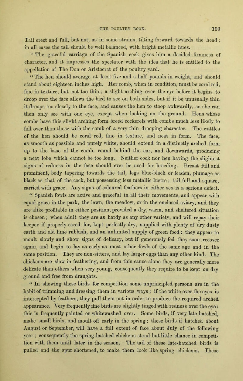 Tail erect and full, but not, as in some strains, tilting forward towards the head; in all cases the tail should be well balanced, with bright metallic hues. “ The graceful carriage of the Spanish cock gives him a decided firmness of character, and it impresses the spectator with the idea that he is entitled to the appellation of The Don or Aristocrat of the poultry yard. “ The hen should average at least five and a half pounds in weight, and should stand about eighteen inches high. Her comb, when in condition, must be coral red, fine in texture, but not too thin; a slight arching over the eye before it begins to droop over the face allows the bird to see on both sides, but if it be unusually thin it droops too closely to the face, and causes the hen to stoop awkwardly, as she can then only see with one eye, except when looking on the ground. Hens whose combs have this slight arching form breed cockerels with combs much less likely to fall over than those with the comb of a very thin drooping character. The wattles of the hen should be coral red, fine in texture, and neat in form. The face, as smooth as possible and purely white, should extend in a distinctly arched form up to the base of the comb, round behind the ear, and downwards, producing a neat lobe which cannot be too long. Neither cock nor hen having the slightest signs of redness in the face should ever be used for breeding. Breast full and prominent, body tapering towards the tail, legs blue-black or leaden, plumage as black as that of the cock, hut possessing less metallic lustre ; tail full and square, carried with grace. Any signs of coloured feathers in either sex is a serious defect. “ Spanish fowls are active and graceful in all their movements, and appear with equal grace in the park, the lawn, the meadow, or in the enclosed aviary, and they are alike profitable in either position, provided a dry, warm, and sheltered situation is chosen; when adult they are as hardy as any other variety, and will repay then- keeper if properly cared for, kept perfectly dry, supplied with plenty of dry dusty earth and old lime rubbish, and an unlimited supply of green food : they appear to moult slowly and show signs of delicacy, hut if generously fed they soon recover again, and begin to lay as early as most other fowls of the same age and in the same position. They are non-sitters, and lay larger eggs than any other kind. The chickens are slow in feathering, and from this cause alone they are generally more delicate than others when very young, consequently they require to be kept on dry ground and free from draughts. “ In showing these birds for competition some unprincipled persons are in the habit of trimming and dressing them in various ways ; if the white over the eyes is intercepted by feathers, they pull them out in order to produce the required arched appearance. Very frequently fine birds are slightly tinged with redness over the eye : this is frequently painted or whitewashed over. Some birds, if very late hatched, make small birds, and moult off early in the spring; these birds if hatched about August or September, will have a full extent of face about July of the following year ; consequently the spring-hatched chickens stand but little chance in competi- tion with them until later in the season. The tail of these late-hatched birds is pulled and the spur shortened, to make them look like spring chickens. These