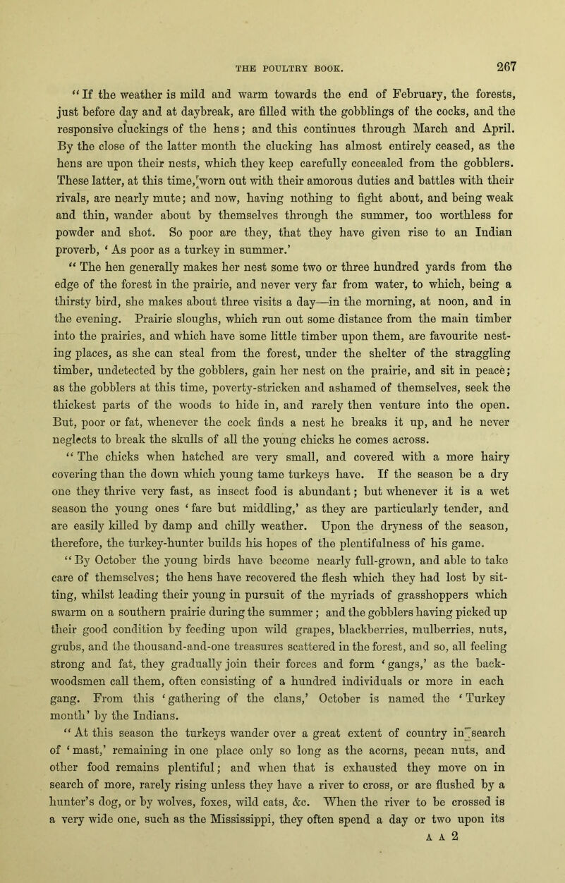 “ If the weather is mild and warm towards the end of February, the forests, just before day and at daybreak, are filled with the gobblings of the cocks, and the responsive duckings of the hens; and this continues through March and April. By the close of the latter month the clucking has almost entirely ceased, as the hens are upon their nests, which they keep carefully concealed from the gobblers. These latter, at this time,’worn out with their amorous duties and battles with their rivals, are nearly mute; and now, having nothing to fight about, and being weak and thin, wander about by themselves through the summer, too worthless for powder and shot. So poor are they, that they have given rise to an Indian proverb, ‘ As poor as a turkey in summer.’ “ The hen generally makes her nest some two or three hundred yards from the edge of the forest in the prairie, and never very far from water, to which, being a thirsty bird, she makes about three visits a day—in the morning, at noon, and in the evening. Prairie sloughs, which run out some distance from the main timber into the prairies, and which have some little timber upon them, are favourite nest- ing places, as she can steal from the forest, under the shelter of the straggling timber, undetected by the gobblers, gain her nest on the prairie, and sit in peace; as the gobblers at this time, poverty-stricken and ashamed of themselves, seek the thickest parts of the woods to hide in, and rarely then venture into the open. But, poor or fat, whenever the cock finds a nest he breaks it up, and he never neglects to break the skulls of all the young chicks he comes across. “ The chicks when hatched are very small, and covered with a more hairy covering than the down which young tame turkeys have. If the season he a dry one they thrive very fast, as insect food is abundant; hut whenever it is a wet season the young ones ‘ fare but middling,’ as they are particularly tender, and are easily killed by damp and chilly weather. Upon the dryness of the season, therefore, the turkey-hunter builds his hopes of the plentifulness of his game. “By October the young birds have become nearly full-grown, and able to take care of themselves; the hens have recovered the flesh which they had lost by sit- ting, whilst leading their young in pursuit of the myriads of grasshoppers which swarm on a southern prairie during the summer ; and the gobblers having picked up their good condition by feeding upon wild grapes, blackberries, mulberries, nuts, grubs, and the thousand-and-one treasures scattered in the forest, and so, all feeling strong and fat, they gradually join their forces and form ‘ gangs,’ as the back- woodsmen call them, often consisting of a hundred individuals or more in each gang. From this ‘gathering of the clans,’ October is named the ‘Turkey month’ by the Indians. “At this season the turkeys wander over a great extent of country in'Tsearch of ‘ mast,’ remaining in one place only so long as the acorns, pecan nuts, and other food remains plentiful; and when that is exhausted they move on in search of more, rarely rising unless they have a river to cross, or are flushed by a hunter’s dog, or by wolves, foxes, wild cats, &c. When the river to be crossed is a very wide one, such as the Mississippi, they often spend a day or two upon its A A 2