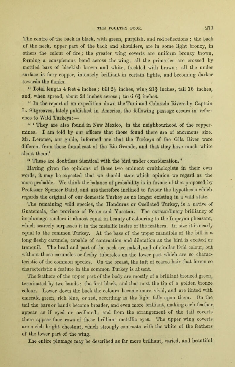 The centre of the back is black, with green, purplish, and red reflections ; the hack of the neck, upper part of the back and shoulders, are in some light bronzy, in others the colour of fire; the greater wing coverts are uniform bronzy brown, forming a conspicuous band across the wing; all the primaries are crossed by mottled bars of blackish brown and white, freckled with brown ; all the under surface is fiery copper, intensely brilliant in certain lights, and becoming darker towards the flanks. “ Total length 4 feet 4 inches ; bill 2^ inches, wing 21f inches, tail 16 inches, and, when spread, about 24 inches across ; tarsi 6f inches. “ In the report of an expedition down theTuni and Colorado Rivers by Captain L. Sitgreaves, lately published in America, the following passage occurs in refer- ence to Wild Turkeys:— “ * They are also found in New Mexico, in the neighbourhood of the copper- mines. I am told by our officers that those found there are of enormous size. Mr. Lerouse, our guide, informed me that the Turkeys of the Gila River were different from those found east of the Rio Grande, and that they have much white about them.’ “ These are doubtless identical with the bird under consideration.” Having given the opinions of these two eminent ornithologists in their own words, it may be expected that we should state which opinion we regard as the more probable. We think the balance of probability is in favour of that proposed by Professor Spencer Baird, and are therefore inclined to favour the hypothesis which regards the original of our domestic Turkey as no longer existing in a wild state. The remaining wild species, the Honduras or Ocellated Turkey, is a native of Guatemala, the province of Peten and Yucatan. The extraordinary brilliancy of its plumage renders it almost equal in beauty of colouring to the Impeyan pheasant, which scarcely surpasses it in the metallic lustre of the feathers. In size it is nearly equal to the common Turkey. At the base of the upper mandible of the bill is a long fleshy caruncle, capable of contraction and dilatation as the bird is excited or tranquil. The head and part of the neck are naked, and of similar livid colour, but without those caruncles or fleshy tubercles on the lower part which are so charac- teristic of the common species. On the breast, the tuft of coarse hair that forms so characteristic a feature in the common Turkey is absent. The feathers of the upper part of the body are mostly of a brilliant bronzed green, terminated by two bands ; the first black, and that next the tip of a golden bronze colour. Lower down the back the colours become more vivid, and are tinted with emerald green, rich blue, or red, according as the light falls upon them. On the tail the bars or bands become broader, and even more brilliant, making each feather appear as if eyed or ocellated; and from the arrangement of the tail coverts there appear four rows of these brilliant metallic eyes. The upper wing coverts are a rich bright chestnut, which strongly contrasts with the white of the feathers of the lower part of the wing. The entire plumage may be described as far more brilliant, varied, and beautiful