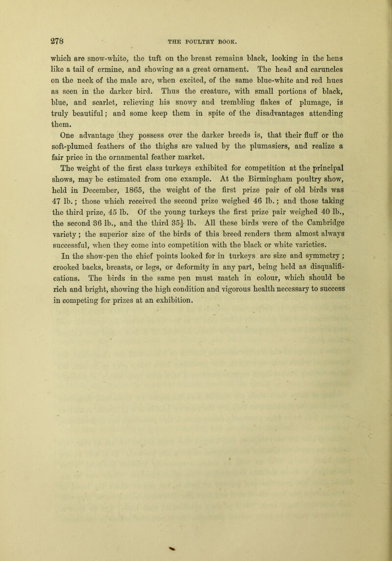 which are snow-white, the tuft on the breast remains black, looking in the hens like a tail of ermine, and showing as a great ornament. The head and caruncles on the neck of the male are, when excited, of the same blue-white and red hues as seen in the darker bird. Thus the creature, with small portions of black, blue, and scarlet, relieving his snowy and trembling flakes of plumage, is truly beautiful; and some keep them in spite of the disadvantages attending them. One advantage they possess over the darker breeds is, that their fluff or the soft-plumed feathers of the thighs are valued by the plumasiers, and realize a fair price in the ornamental feather market. The weight of the first class turkeys exhibited for competition at the principal shows, may be estimated from one example. At the Birmingham poultry show, held in December, 1865, the weight of the first prize pair of old birds was 47 lb.; those which received the second prize weighed 46 lb.; and those taking the third prize, 45 lb. Of the young turkeys the first prize pair weighed 40 lb., the second 36 lb., and the third 35J lb. All these birds were of the Cambridge variety; the superior size of the birds of this breed renders them almost always successful, when they come into competition with the black or white varieties. In the show-pen the chief points looked for in turkeys are size and symmetry ; crooked backs, breasts, or legs, or deformity in any part, being held as disqualifi- cations. The birds in the same pen must match in colour, which should be rich and bright, showing the high condition and vigorous health necessary to success in competing for prizes at an exhibition.