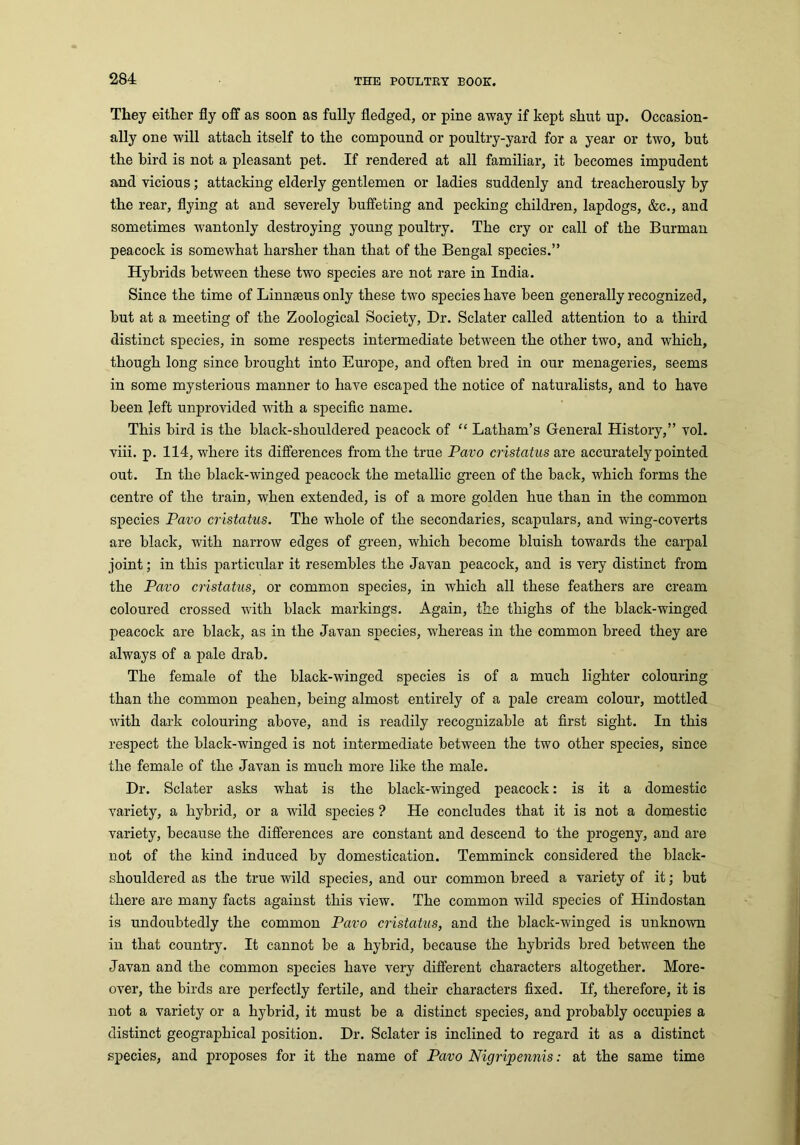 They either fly off as soon as fully fledged, or pine away if kept shut up. Occasion- ally one will attach itself to the compound or poultry-yard for a year or two, but the bird is not a pleasant pet. If rendered at all familiar, it becomes impudent and vicious; attacking elderly gentlemen or ladies suddenly and treacherously by the rear, flying at and severely buffeting and pecking children, lapdogs, &c., and sometimes wantonly destroying young poultry. The cry or call of the Burman peacock is somewhat harsher than that of the Bengal species.” Hybrids between these two species are not rare in India. Since the time of Linnaeus only these two species have been generally recognized, but at a meeting of the Zoological Society, Dr. Sclater called attention to a third distinct species, in some respects intermediate between the other two, and which, though long since brought into Europe, and often bred in our menageries, seems in some mysterious manner to have escaped the notice of naturalists, and to have been left unprovided with a specific name. This bird is the black-shouldered peacock of “ Latham’s General History,” vol. viii. p. 114, where its differences from the true Pavo cristatus are accurately pointed out. In the black-winged peacock the metallic green of the back, which forms the centre of the train, when extended, is of a more golden hue than in the common species Pavo cristatus. The whole of the secondaries, scapulars, and wing-coverts are black, with narrow edges of green, which become bluish towards the carpal joint; in this particular it resembles the Javan peacock, and is very distinct from the Pavo cristatus, or common species, in which all these feathers are cream coloured crossed with black markings. Again, the thighs of the black-winged peacock are black, as in the Javan species, whereas in the common breed they are always of a pale drab. The female of the black-winged species is of a much lighter colouring than the common peahen, being almost entirely of a pale cream colour, mottled with dark colouring above, and is readily recognizable at first sight. In this respect the black-winged is not intermediate between the two other species, since the female of the Javan is much more like the male. Dr. Sclater asks what is the black-winged peacock: is it a domestic variety, a hybrid, or a wild species ? He concludes that it is not a domestic variety, because the differences are constant and descend to the progeny, and are not of the kind induced by domestication. Temminck considered the black- shouldered as the true wild species, and our common breed a variety of it; but there are many facts against this view. The common wild species of Hindostan is undoubtedly the common Pavo cristatus, and the black-winged is unknown in that country. It cannot be a hybrid, because the hybrids bred between the Javan and the common species have very different characters altogether. More- over, the birds are perfectly fertile, and their characters fixed. If, therefore, it is not a variety or a hybrid, it must be a distinct species, and probably occupies a distinct geographical position. Dr. Sclater is inclined to regard it as a distinct species, and proposes for it the name of Pavo Nigripennis: at the same time