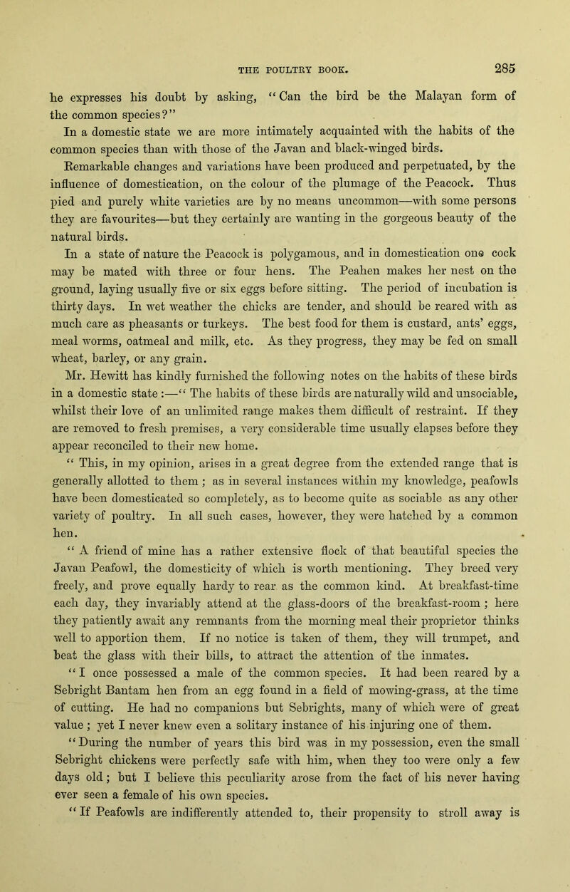 lie expresses his douht by asking, “Can the bird be the Malayan form of the common species?” In a domestic state we are more intimately acquainted with the habits of the common species than with those of the Javan and black-winged birds. Remarkable changes and variations have been produced and perpetuated, by the influence of domestication, on the colour of the plumage of the Peacock. Thus pied and purely white varieties are by no means uncommon—with some persons they are favourites—but they certainly are wanting in the gorgeous beauty of the natural birds. In a state of nature the Peacock is polygamous, and in domestication one cock may be mated with three or four hens. The Peahen makes her nest on the ground, laying usually five or six eggs before sitting. The period of incubation is thirty days. In wet weather the chicks are tender, and should be reared with as much care as pheasants or turkeys. The best food for them is custard, ants’ eggs, meal worms, oatmeal and milk, etc. As they progress, they may be fed on small wheat, barley, or any grain. Mr. Hewitt has kindly furnished the following notes on the habits of these birds in a domestic state :—“ The habits of these birds are naturally wild and unsociable, whilst their love of an unlimited range makes them difficult of restraint. If they are removed to fresh premises, a very considerable time usually elapses before they appear reconciled to their new home. “ This, in my opinion, arises in a great degree from the extended range that is generally allotted to them ; as in several instances within my knowledge, peafowls have been domesticated so completely, as to become quite as sociable as any other variety of poultry. In all such cases, however, they were hatched by a common hen. “ A friend of mine has a rather extensive flock of that beautiful species the Javan Peafowl, the domesticity of which is worth mentioning. They breed very freely, and prove equally hardy to rear as the common kind. At breakfast-time each day, they invariably attend at the glass-doors of the breakfast-room ; here they patiently await any remnants from the morning meal their proprietor thinks well to apportion them. If no notice is taken of them, they will trumpet, and beat the glass with their bills, to attract the attention of the inmates. “ I once possessed a male of the common species. It had been reared by a Sebright Bantam hen from an egg found in a field of mowing-grass, at the time of cutting. He had no companions but Sebrights, many of which were of great value ; yet I never knew even a solitary instance of his injuring one of them. “During the number of years this bird was in my possession, even the small Sebright chickens were perfectly safe with him, when they too were only a few days old; but I believe this peculiarity arose from the fact of his never having ever seen a female of his own species. “ If Peafowls are indifferently attended to, their propensity to stroll away is