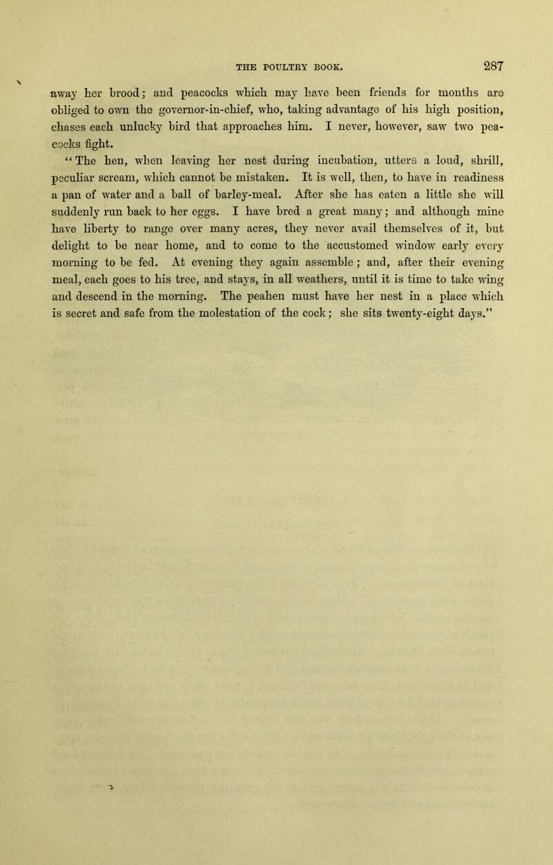away her brood; and peacocks which may have been friends for months are obliged to own the governor-in-chief, who, taking advantage of his high position, chases each unlucky bird that approaches him. I never, however, saw two pea- cocks fight. “The hen, when leaving her nest during incubation, utters a loud, shrill, peculiar scream, which cannot be mistaken. It is well, then, to have in readiness a pan of water and a ball of barley-meal. After she has eaten a little she will suddenly run back to her eggs. I have bred a great many; and although mine have liberty to range over many acres, they never avail themselves of it, but delight to be near home, and to come to the accustomed window early every morning to be fed. At evening they again assemble; and, after their evening meal, each goes to his tree, and stays, in all weathers, until it is time to take wing and descend in the morning. The peahen must have her nest in a place which is secret and safe from the molestation of the cock; she sits twenty-eight days.”