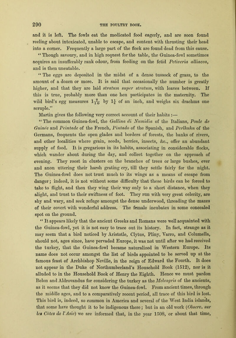 and it is left. The fowls eat the medicated food eagerly, and are soon found reeling about intoxicated, unable to escape, and content with thrusting their head into a corner. Frequently a large part of the flock are found dead from this cause. “ Though savoury, and in high request for the table, the Guinea-fowl sometimes acquires an insufferably rank odour, from feeding on the fetid Petiveria alliacea, and is then uneatable. “ The eggs are deposited in the midst of a dense tussock of grass, to the amount of a dozen or more. It is said that occasionally the number is greatly higher, and that they are laid stratum super stratum, with leaves between. If this is true, probably more than one hen participates in the maternity. The wild bird’s egg measures 1-x-q by 1-]- of an inch, and weighs six drachms one scruple.” Martin gives the following very correct account of their habits :— “ The common Guinea-fowl, the Gallina di Numidia of the Italians, Poulc de Guinee and Peintade of the French, Pintado of the Spanish, and Perlhulm of the Germans, frequents the open glades and borders of forests, the banks of rivers, and other localities where grain, seeds, berries, insects, &c., offer an abundant supply of food. It is gregarious in its habits, associating in considerable flocks, which wander about during the day, and collect together on the approach of evening. They roost in clusters on the branches of trees or large hushes, ever and anon uttering their harsh grating cry, till they settle fairly for the night. The Guinea-fowl does not trust much to its wings as a means of escape from danger; indeed, it is not without some difficulty that these birds can be forced to take to flight, and then they wing their way only to a short distance, when they alight, and trust to their swiftness of foot. They run with very great celerity, are shy and wary, and seek refuge amongst the dense underwood, threading the mazes of their covert with wonderful address. The female incubates in some concealed spot on the ground. “ It appears likely that the ancient Greeks and Romans were well acquainted with the Guinea-fowl, yet it is not easy to trace out its history. In fact, strange as it may seem that a bird noticed by Aristotle, Clytus, Pliny, Varro, and Columella, should not, ages since, have pervaded Europe, it was not until after we had received the turkey, that the Guinea-fowl became naturalized in Western Europe. Its name does not occur amongst the list of birds appointed to be served up at the famous feast of Archbishop Neville, in the reign of Edward the Fourth. It does not appear in the Duke of Northumberland’s Household Book (1512), nor is it alluded to in the Household Book of Henry the Eighth. Hence we must pardon Belon and Aldrovandus for considering the turkey as the Meleagris of the ancients, as it seems that they did not know the Guinea-fowl. From ancient times, through the middle ages, and to a comparatively recent period, all trace of this bird is lost. This bird is, indeed, so common in America and several of the West India islands, that some have thought it to be indigenous there; but in an old work (Observ. sur les Cotes de VAsie) we are informed that, in the year 1508, or about that time,