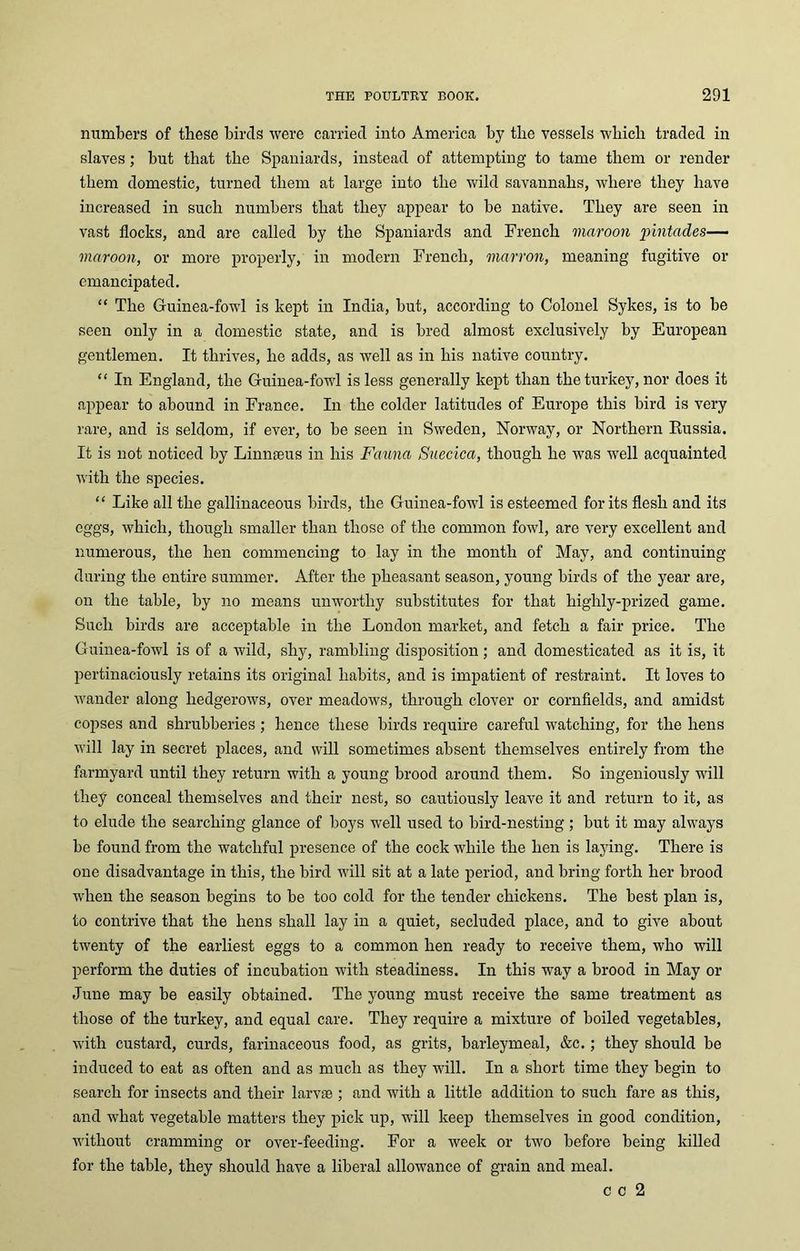 numbers of these birds were carried into America by the vessels which traded in slaves; but that the Spaniards, instead of attempting to tame them or render them domestic, turned them at large into the wild savannahs, where they have increased in such numbers that they appear to be native. They are seen in vast flocks, and are called by the Spaniards and French maroon pintades— maroon, or more properly, in modern French, mar von, meaning fugitive or emancipated. “ The Guinea-fowl is kept in India, but, according to Colonel Sykes, is to be seen only in a domestic state, and is bred almost exclusively by European gentlemen. It thrives, he adds, as well as in his native country. “ In England, the Guinea-fowl is less generally kept than the turkey, nor does it appear to abound in France. In the colder latitudes of Europe this bird is very rare, and is seldom, if ever, to be seen in Sweden, Norway, or Northern Russia. It is not noticed by Linnaeus in his Fauna Suecica, though he was well acquainted with the species. “ Like all the gallinaceous birds, the Guinea-fowl is esteemed for its flesh and its eggs, which, though smaller than those of the common fowl, are very excellent and numerous, the hen commencing to lay in the month of May, and continuing during the entire summer. After the pheasant season, young birds of the year are, on the table, by no means unworthy substitutes for that highly-prized game. Such birds are acceptable in the London market, and fetch a fair price. The Guinea-fowl is of a wild, shy, rambling disposition; and domesticated as it is, it pertinaciously retains its original habits, and is impatient of restraint. It loves to wander along hedgerows, over meadows, through clover or cornfields, and amidst copses and shrubberies; hence these birds require careful watching, for the hens will lay in secret places, and will sometimes absent themselves entirely from the farmyard until they return with a young brood around them. So ingeniously will they conceal themselves and their nest, so cautiously leave it and return to it, as to elude the searching glance of boys well used to bird-nesting ; but it may always be found from the watchful presence of the cock while the hen is laying. There is one disadvantage in this, the bird will sit at a late period, and bring forth her brood when the season begins to be too cold for the tender chickens. The best plan is, to contrive that the hens shall lay in a quiet, secluded place, and to give about twenty of the earliest eggs to a common hen ready to receive them, who will perform the duties of incubation with steadiness. In this way a brood in May or June may be easily obtained. The young must receive the same treatment as those of the turkey, and equal care. They require a mixture of boiled vegetables, with custard, curds, farinaceous food, as grits, harleymeal, &c.; they should be induced to eat as often and as much as they will. In a short time they begin to search for insects and their larvae ; and with a little addition to such fare as this, and what vegetable matters they pick up, will keep themselves in good condition, without cramming or over-feeding. For a week or two before being killed for the table, they should have a liberal allowance of grain and meal. c c 2