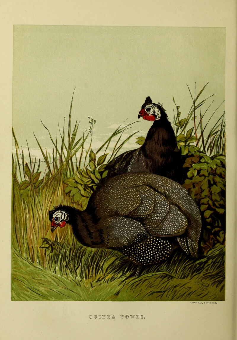 © ¥ a H IE A F © W IL s