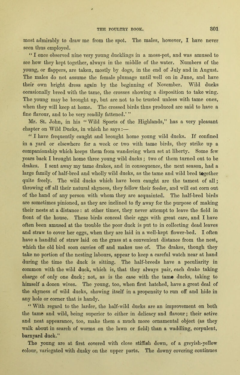 most admirably to draw me from the spot. The males, however, I have never seen thus employed. “ I once observed nine very young ducklings in a moss-pot, and was amused to see how they kept together, always in the middle of the water. Numbers of the young, or flappers, are taken, mostly by dogs, in the end of July and in August. The males do not assume the female plumage until well on in June, and have their own bright dress again by the beginning of November. Wild ducks occasionally breed with the tame, the crosses showing a disposition to take wing. The young may be brought up, but are not to be trusted unless with tame ones, when they will keep at home. The crossed birds thus produced are said to have a fine flavour, and to be very readily fattened.’ ” Mr. St. John, in his “Wild Sports of the Highlands,” has a very pleasant chapter on Wild Ducks, in which he says :— “ I have frequently caught and brought home young wild ducks. If confined in a yard or elsewhere for a week or two with tame birds, they strike up a companionship which keeps them from wandering when set at liberty. Some few years back I brought home three young wild ducks ; two of them turned out to be drakes. I sent away my tame drakes, and in consequence, the nest season, had a large family of half-bred and wholly wild ducks, as the tame and wild bred together quite freely. The wild ducks which have been caught are the tamest of all; throwing off all their natural shyness, they follow their feeder, and will eat corn out of the hand of any person with whom they are acquainted. The half-bred birds are sometimes pinioned, as they are inclined to fly away for the purpose of making their nests at a distance: at other times, they never attempt to leave the field in front of the house. These birds conceal their eggs with great care, and I have often been amused at the trouble the poor duck is put to in collecting dead leaves and straw to cover her eggs, when they are laid in a well-kept flower-bed. I often have a handful of straw laid on the grass at a convenient distance from the nest, which the old bird soon carries off and makes use of. The drakes, though they take no portion of the nesting labours, appear to keep a careful watch near at hand during the time the duck is sitting. The half-breeds have a peculiarity in common with the wild duck, which is, that they always pair, each drake taking charge of only one duck; not, as is the case with the tame ducks, taking to himself a dozen wives. The young, too, when first hatched, have a great deal of the shyness of wild ducks, showing itself in a propensity to run off and hide in any hole or corner that is handy. “ With regard to the larder, the half-wild ducks are an improvement on both the tame and wild, being superior to either in delicacy and flavour; their active and neat appearance, too, make them a much more ornamental object (as they walk about in search of worms on the lawn or field) than a waddling, corpulent, barnyard duck.” The young are at first covered with close stiffish down, of a greyish-yellow colour, variegated with dusky on the upper parts. The downy covering continues