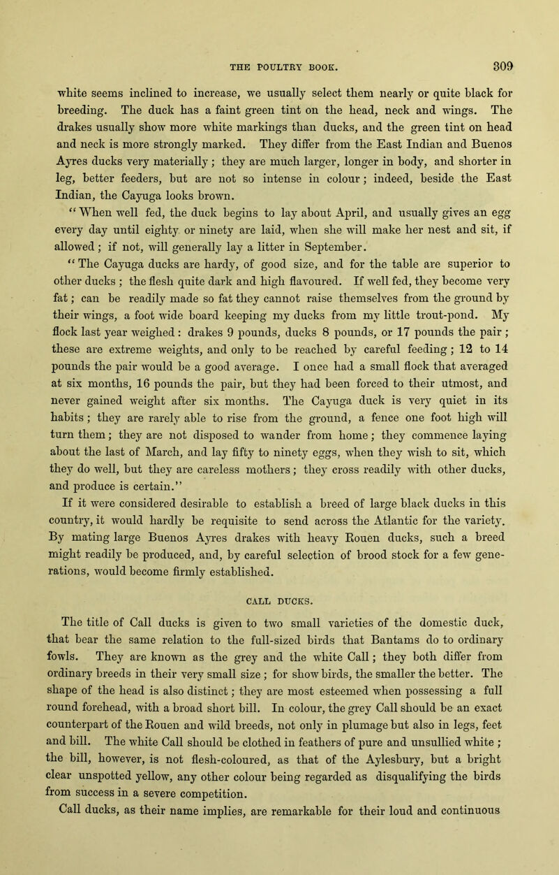 white seems inclined to increase, we usually select them nearly or quite black for breeding. The duck has a faint green tint on the head, neck and wings. The drakes usually show more white markings than ducks, and the green tint on head and neck is more strongly marked. They differ from the East Indian and Buenos Ayres ducks very materially; they are much larger, longer in body, and shorter in leg, better feeders, but are not so intense in colour; indeed, beside the East Indian, the Cayuga looks brown. “ When well fed, the duck begins to lay about April, and usually gives an egg every day until eighty or ninety are laid, when she will make her nest and sit, if allowed; if not, will generally lay a litter in September. “ The Cayuga ducks are hardy, of good size, and for the table are superior to other ducks ; the flesh quite dark and high flavoured. If well fed, they become very fat; can be readily made so fat they cannot raise themselves from the ground by their wings, a foot wide board keeping my ducks from my little trout-pond. My flock last year weighed : drakes 9 pounds, ducks 8 pounds, or 17 pounds the pair ; these are extreme weights, and only to be reached by careful feeding; 12 to 14 pounds the pair would he a good average. I once had a small flock that averaged at six months, 16 pounds the pair, hut they had been forced to their utmost, and never gained weight after six months. The Cayuga duck is very quiet in its habits; they are rarely able to rise from the ground, a fence one foot high will turn them; they are not disposed to wander from home; they commence laying about the last of March, and lay fifty to ninety eggs, when they wish to sit, which they do well, but they are careless mothers; they cross readily with other ducks, and produce is certain.” If it were considered desirable to establish a breed of large black ducks in this country, it would hardly he requisite to send across the Atlantic for the variety. By mating large Buenos Ayres drakes with heavy Bouen ducks, such a breed might readily be produced, and, by careful selection of brood stock for a few gene- rations, would become firmly established. CALL DUCKS. The title of Call ducks is given to two small varieties of the domestic duck, that bear the same relation to the full-sized birds that Bantams do to ordinary fowls. They are known as the grey and the white Call; they both differ from ordinary breeds in their very small size ; for show birds, the smaller the better. The shape of the head is also distinct; they are most esteemed when possessing a full round forehead, with a broad short bill. In colour, the grey Call should be an exact counterpart of the Rouen and wild breeds, not only in plumage but also in legs, feet and bill. The white Call should he clothed in feathers of pure and unsullied white ; the bill, however, is not flesh-coloured, as that of the Aylesbury, but a bright clear unspotted yellow, any other colour being regarded as disqualifying the birds from success in a severe competition. Call ducks, as their name implies, are remarkable for their loud and continuous
