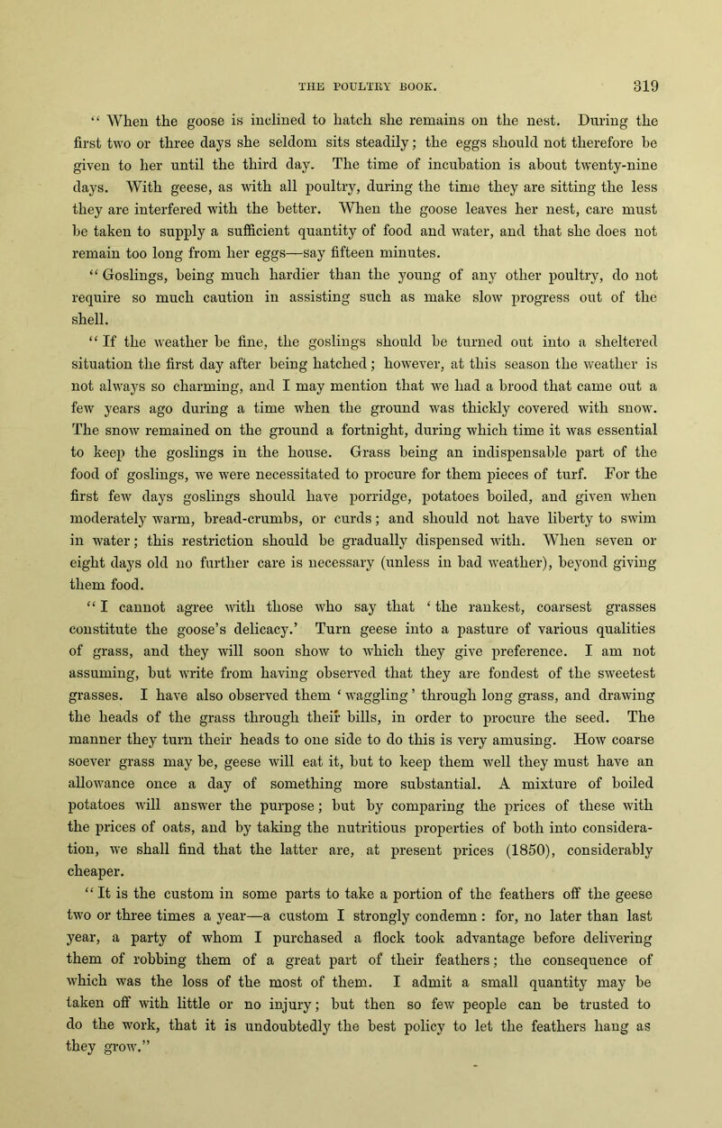 “ When the goose is inclined to hatch she remains on the nest. During the first two or three clays she seldom sits steadily; the eggs should not therefore be given to her until the third day. The time of incubation is about twenty-nine days. With geese, as with all poultry, during the time they are sitting the less they are interfered with the better. When the goose leaves her nest, care must be taken to supply a sufficient quantity of food and water, and that she does not remain too long from her eggs—say fifteen minutes. “ Goslings, being much hardier than the young of any other poultry, do not require so much caution in assisting such as make slow progress out of the shell. “ If the weather be fine, the goslings should be turned out into a sheltered situation the first day after being hatched; however, at this season the weather is not always so charming, and I may mention that we had a brood that came out a few years ago during a time when the ground was thickly covered with snow. The snow remained on the ground a fortnight, during which time it was essential to keep the goslings in the house. Grass being an indispensable part of the food of goslings, we were necessitated to procure for them pieces of turf. For the first few days goslings should have porridge, potatoes boiled, and given when moderately warm, bread-crumbs, or curds; and should not have liberty to swim in water; this restriction should be gradually dispensed with. When seven or eight days old no further care is necessary (unless in bad weather), beyond giving them food. “ I cannot agree with those who say that ‘ the rankest, coarsest grasses constitute the goose’s delicacy.’ Turn geese into a pasture of various qualities of grass, and they will soon show to which they give preference. I am not assuming, but write from having observed that they are fondest of the sweetest grasses. I have also observed them ‘ waggling ’ through long grass, and drawing the heads of the grass through their bills, in order to procure the seed. The manner they turn their heads to one side to do this is very amusing. How coarse soever grass may be, geese will eat it, but to keep them well they must have an allowance once a day of something more substantial. A mixture of boiled potatoes will answer the purpose; but by comparing the prices of these with the prices of oats, and by taking the nutritious properties of both into considera- tion, we shall find that the latter are, at present prices (1850), considerably cheaper. “It is the custom in some parts to take a portion of the feathers off the geese two or three times a year—a custom I strongly condemn : for, no later than last year, a party of whom I purchased a flock took advantage before delivering them of robbing them of a great part of their feathers; the consequence of which was the loss of the most of them. I admit a small quantity may be taken off with little or no injury; but then so few people can be trusted to do the work, that it is undoubtedly the best policy to let the feathers hang as they grow.”