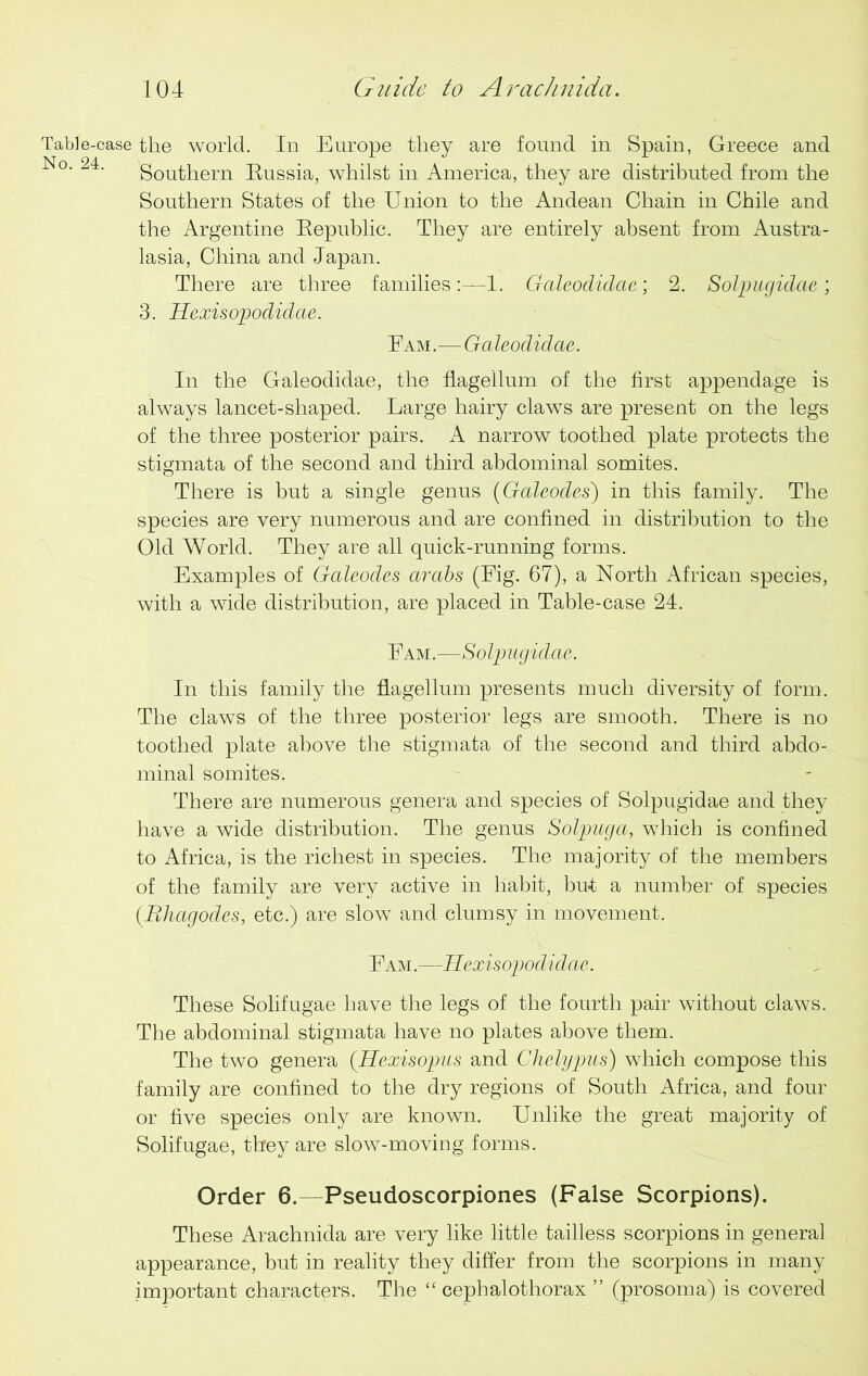 Table-case the world. In Europe they are found in Spain, Greece and No' 24' Southern Eussia, whilst in America, they are distributed from the Southern States of the Union to the Andean Chain in Chile and the Argentine Eepublic. They are entirely absent from Austra- lasia, China and Japan. There are three families:—1. Galeodidae; 2. Solpugidae; 3. Hexisopodidae. Eam.—Galeodidae. In the Galeodidae, the flagellum of the first appendage is always lancet-shaped. Large hairy claws are present on the legs of the three posterior pairs. A narrow toothed plate protects the stigmata of the second and third abdominal somites. There is but a single genus (Galeodes) in this family. The species are very numerous and are confined in distribution to the Old World. They are all quick-running forms. Examples of Galeodes arabs (Fig. 67), a North African species, with a wide distribution, are placed in Table-case 24. Fam.—Solpugidae. In this family the flagellum presents much diversity of form. The claws of the three posterior legs are smooth. There is no toothed plate above the stigmata of the second and third abdo- minal somites. - There are numerous genera and species of Solpugidae and they have a wide distribution. The genus Solpuga, which is confined to Africa, is the richest in species. The majority of the members of the family are very active in habit, but a number of species (Bhagodes, etc.) are slow and clumsy in movement. Eam.—Hexisopodidae. These Solifugae have the legs of the fourth pair without claws. The abdominal stigmata have no plates above them. The two genera (Hexisopus and Chelypus) which compose this family are confined to the dry regions of South Africa, and four or five species only are known. Unlike the great majority of Solifugae, they are slow-moving forms. Order 6.—Pseudoscorpiones (False Scorpions). These Arachnida are very like little tailless scorpions in general appearance, but in reality they differ from the scorpions in many important characters. The “ cephalothorax ” (prosoma) is covered