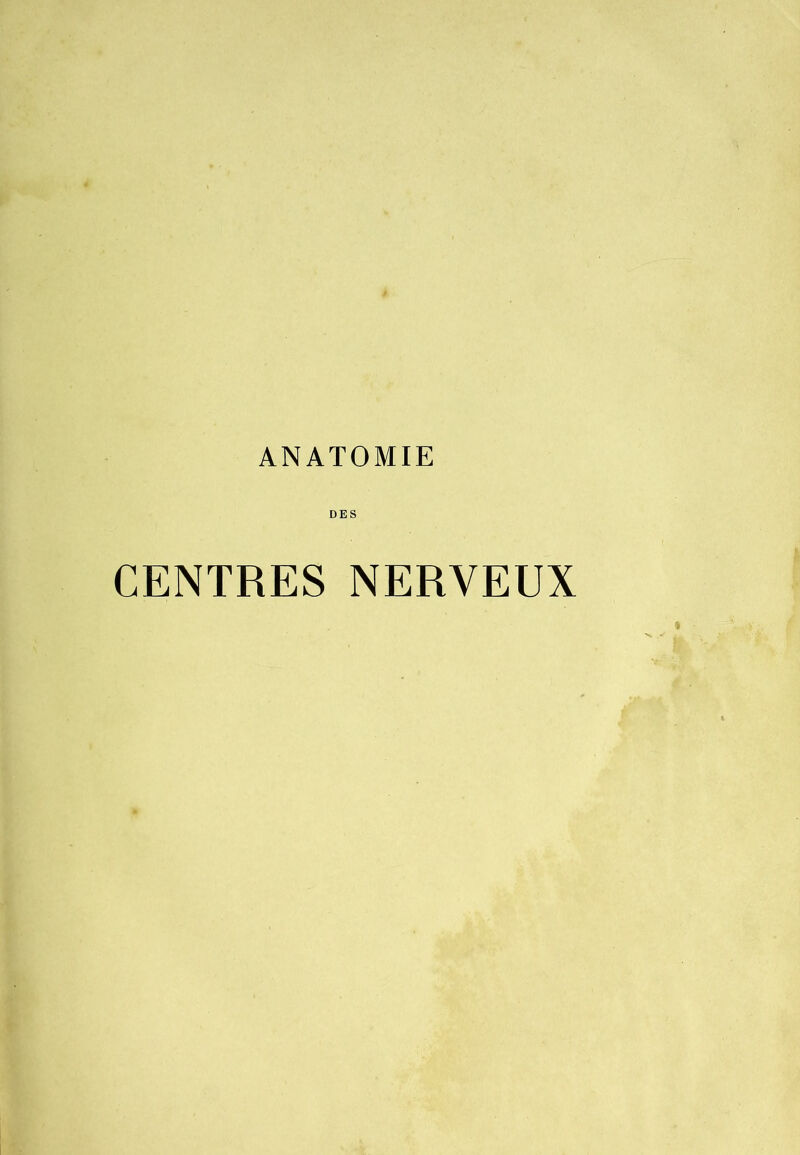 ANATOMIE CENTRES NERVEUX