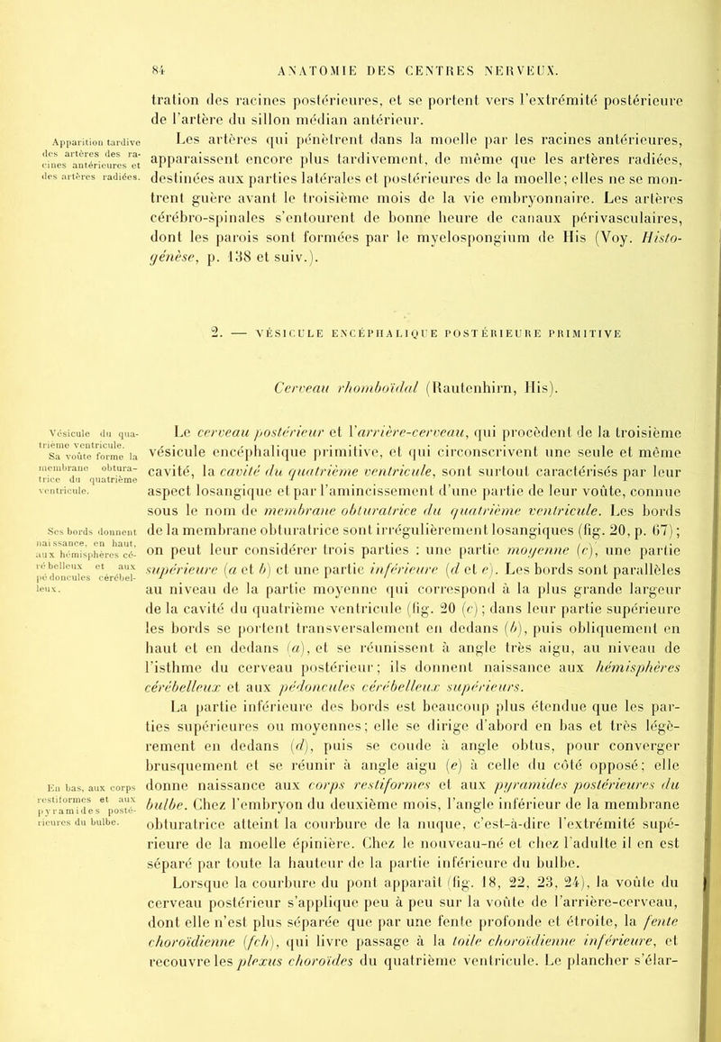 tration des racines postérieures, et se portent vers l’extrémité postérieure de l’artère du sillon médian antérieur. Apparition tardive Les artères qui pénètrent dans la moelle par les racines antérieures, antérieures^ aPParaissent encore plus tardivement, de même que les artères radiées, <ies artères radiées, destinées aux parties latérales et postérieures de la moelle ; elles ne se mon- trent guère avant le troisième mois de la vie embryonnaire. Les artères cérébro-spinales s’entourent de bonne heure de canaux périvasculaires, dont les parois sont formées par le myelospongium de His (Voy. Histo- génèse, p. 138 etsuiv.). 2. — VÉSICULE ENCÉPHALIQUE POSTÉRIEURE PRIMITIVE Cerveau rhomboïdal (Rautenhirn, His). Vésicule du qua- naissance, en haut, aux hémisphères cé- ré bellcux et aux pé doncules eérébel- En bas, aux corps restiformes et aux pyramides posté- rieures du bulbe. Le cerveau postérieur et Y arrière-cerveau, qui procèdent de la troisième vésicule encéphalique primitive, et qui circonscrivent une seule et même cavité, la cavité du quatrième ventricule, sont surtout caractérisés par leur aspect losangique et par l’amincissement d’une partie de leur voûte, connue sous le nom de membrane obturatrice du quatrième ventricule. Les bords de la membrane obturatrice sont irrégulièrement losangiques (fig. 20, p. 67) ; on peut leur considérer trois parties : une partie moyenne (c), une partie supérieure (a et b) et une partie inférieure (d et e). Les bords sont parallèles au niveau de la partie moyenne qui correspond à la plus grande largeur de la cavité du quatrième ventricule (lig. 20 (c) ; dans leur partie supérieure les bords se portent transversalement en dedans (b), puis obliquement en haut et en dedans (a), et se réunissent à angle très aigu, au niveau de l’isthme du cerveau postérieur ; ils donnent naissance aux hémisphères cérébelleux et aux pédoncules cérébelleux supérieurs. La partie inférieure des bords est beaucoup plus étendue que les par- ties supérieures ou moyennes; elle se dirige d’abord en bas et très légè- rement en dedans (d), puis se coude à angle obtus, pour converger brusquement et se réunir à angle aigu (e) à celle du côté opposé; elle donne naissance aux corps restiformes et aux pyramides postérieures du bulbe. Chez l’embryon du deuxième mois, l’angle inférieur de la membrane obturatrice atteint la courbure de la nuque, c’est-à-dire l’extrémité supé- rieure de la moelle épinière. Chez le nouveau-né et chez l’adulte il en est séparé par toute la hauteur de la partie inférieure du bulbe. Lorsque la courbure du pont apparaît (fig. 18, 22, 23, 24), la voûte du cerveau postérieur s’applique peu à peu sur la voûte de l’arrière-cerveau, dont elle n’est plus séparée que par une fente profonde et étroite, la fente choroïdienne (feh), qui livre passage à la toile choroxdienne inférieure, et recouvre les plexus choroïdes du quatrième ventricule. Le plancher s’élar-