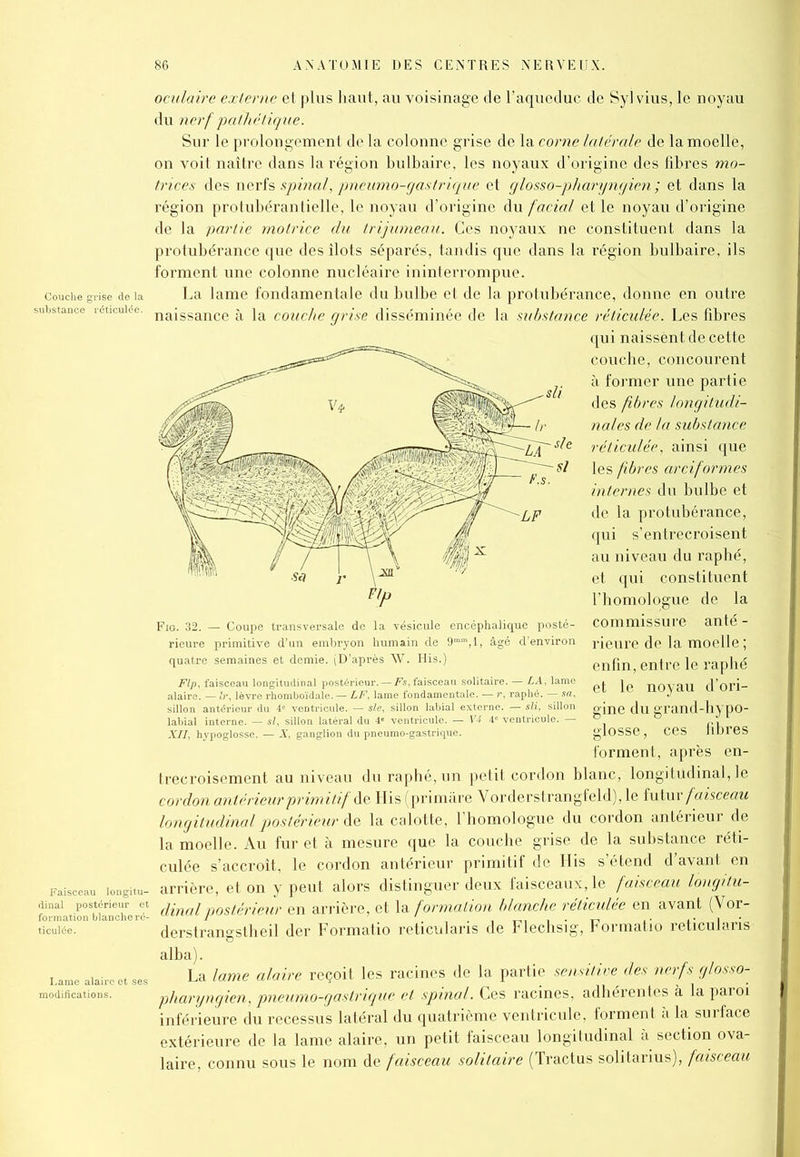 oculaire externe et plus haut, au voisinage de l’aqueduc de Syl vius, le noyau du nerf -pathétique. Sur le prolongement delà colonne grise de Xk corne latérale de la moelle, on voit naître dans la région bulbaire, les noyaux d’origine des fibres mo- trices des nerfs spinal, pneumo-g as trique et glosso-pharyngien ; et dans la région protubérantielle, le noyau d’origine du facial et le noyau d’origine de la partie motrice du trijumeau. Ces noyaux ne constituent dans la protubérance que des îlots séparés, tandis que dans la région bulbaire, ils forment une colonne nucléaire ininterrompue, couche grise delà La lame fondamentale du bulbe et de la protubérance, donne en outre uhstance réticulée. naissance £ ]a couche grise disséminée de la substance réticulée. Les fibres qui naissent de cette couche, concourent à former une partie des fibres longitudi- nales de la substance réticulée, ainsi que les fibres arciformes internes du bulbe et de la protubérance, qui s’entrecroisent au niveau du raphé, et qui constituent l’homologue de la commissure anté - rieure de la moelle ; enfin, entre le raphé et le noyau d’ori- gine du grand-hypo- glosse , ces fibres forment, après en- trecroisement au niveau du raphé, un petit cordon blanc, longitudinal, le cordon antérieur primitif de His (primâre Vorderstrangfeld), le futur faisceau longitudinal postérieur de la calotte, l’homologue du cordon antérieur de la moelle. Au fur et à mesure que la couche grise de la substance réti- culée s’accroît, le cordon antérieur primitif de His s’étend d’avant en Faisceau îongitu- arrière, et on y peut alors distinguer deux faisceaux, le faisceau longitu- formation^famîheré- dinalpostérieur en arrière, et la formation blanche réticulée en avant (Vor- ticuiée. derstrangstheil der Formatio reticularis de Flechsig, Formatio reticularis alba). Lame aiaircetses La lame alaire reçoit les racines de la partie sensitive des nerfs glosso- modifications. pharyngien, pneumo-gastrique et spinal. Ces racines, adhérentes à la paroi inférieure du recessus latéral du quatrième ventricule, forment a la surface extérieure de la lame alaire, un petit faisceau longitudinal à section ova- laire, connu sous le nom de faisceau solitaire (Tractus solitarius), faisceau quatre semaines et demie. (D’après W. His.) Flp, faisceau longitudinal postérieur. — Fs, faisceau solitaire. — LA, lame alaire. — Ir, lèvre rhomboïdale. — LF, lame fondamentale. — r, raphé. — sa, sillon antérieur du 4“ ventricule. — sle, sillon labial externe. — sli, sillon labial interne. — si, sillon latéral du 4« ventricule. — V4 4' ventricule. — XII, hypoglosse. — X, ganglion du pneumo-gastrique.